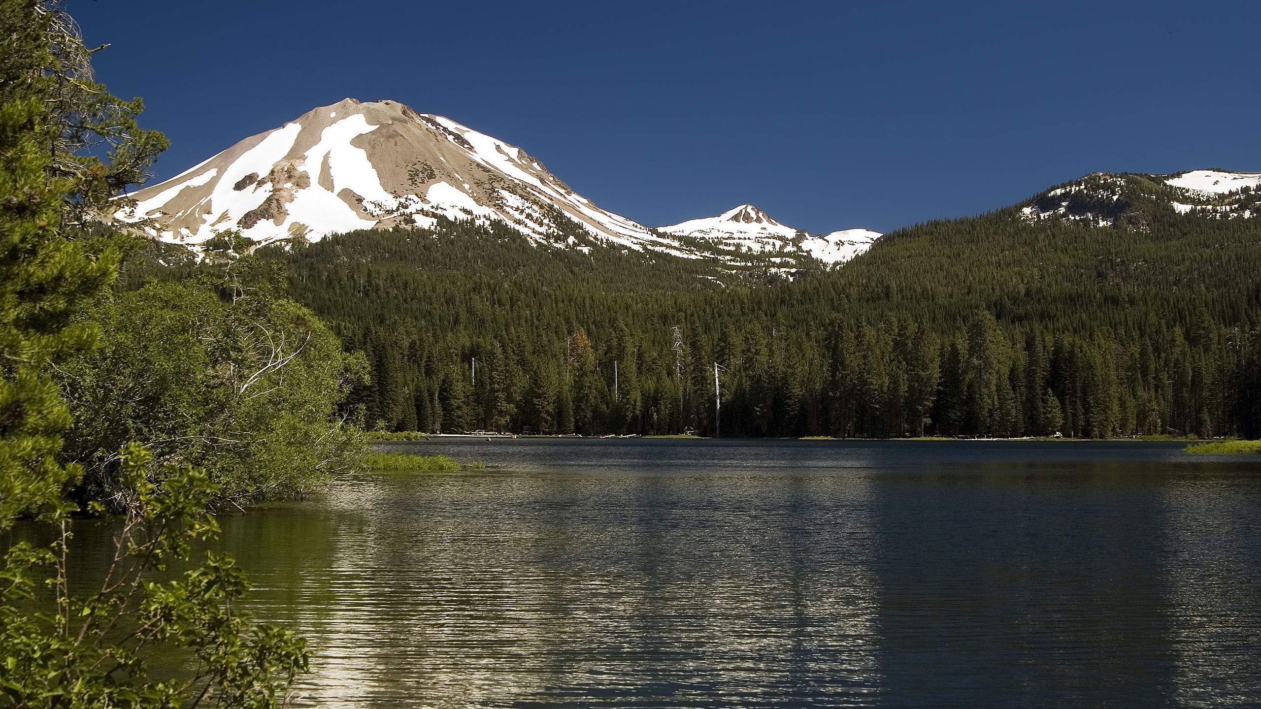 Lake and snow-capped mountain with forest HD Wallpaper