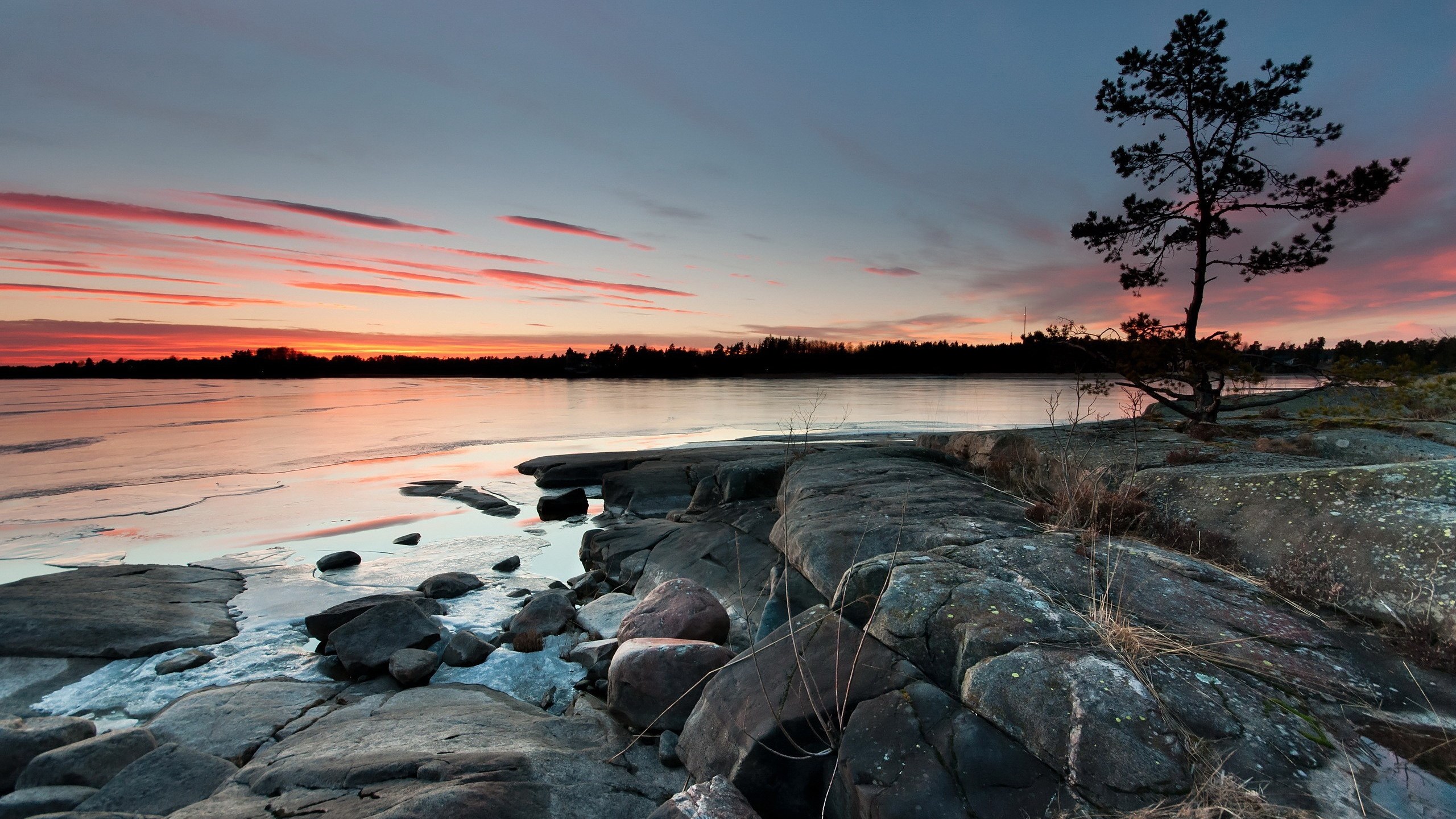 Rocky shore with a lone tree at sunset HD Wallpaper