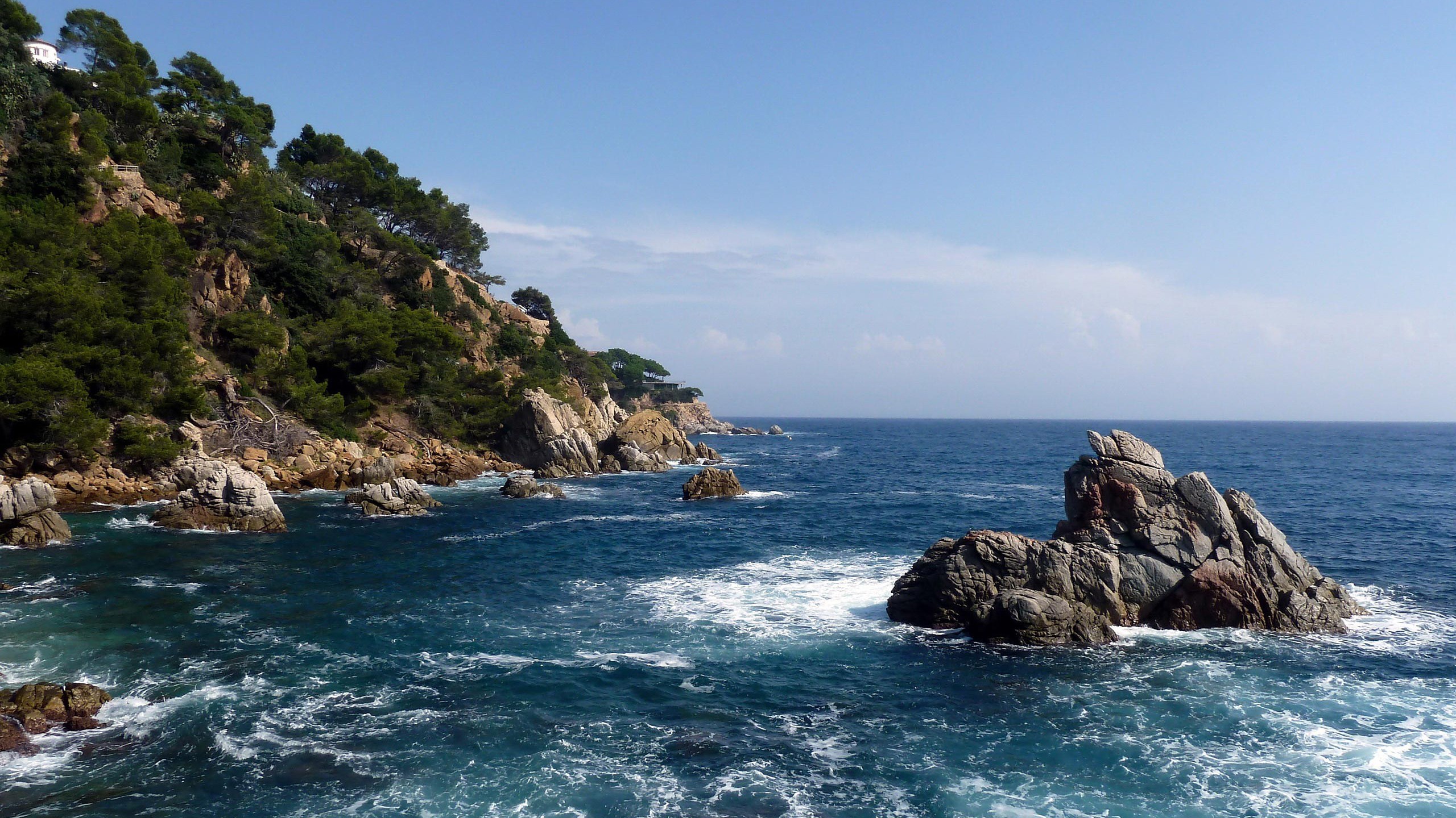 Rocky coastline with pine trees and blue ocean HD Wallpaper