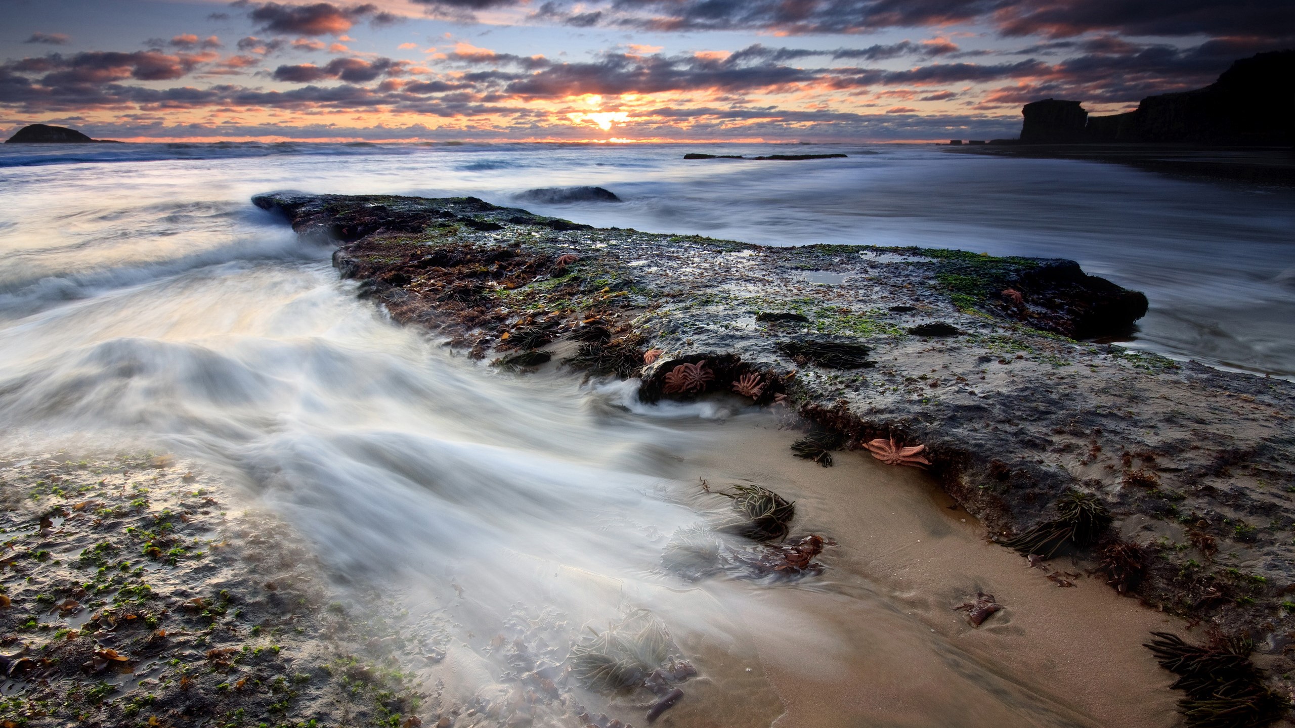 Ocean waves crashing on rocky shore at sunset HD Wallpaper