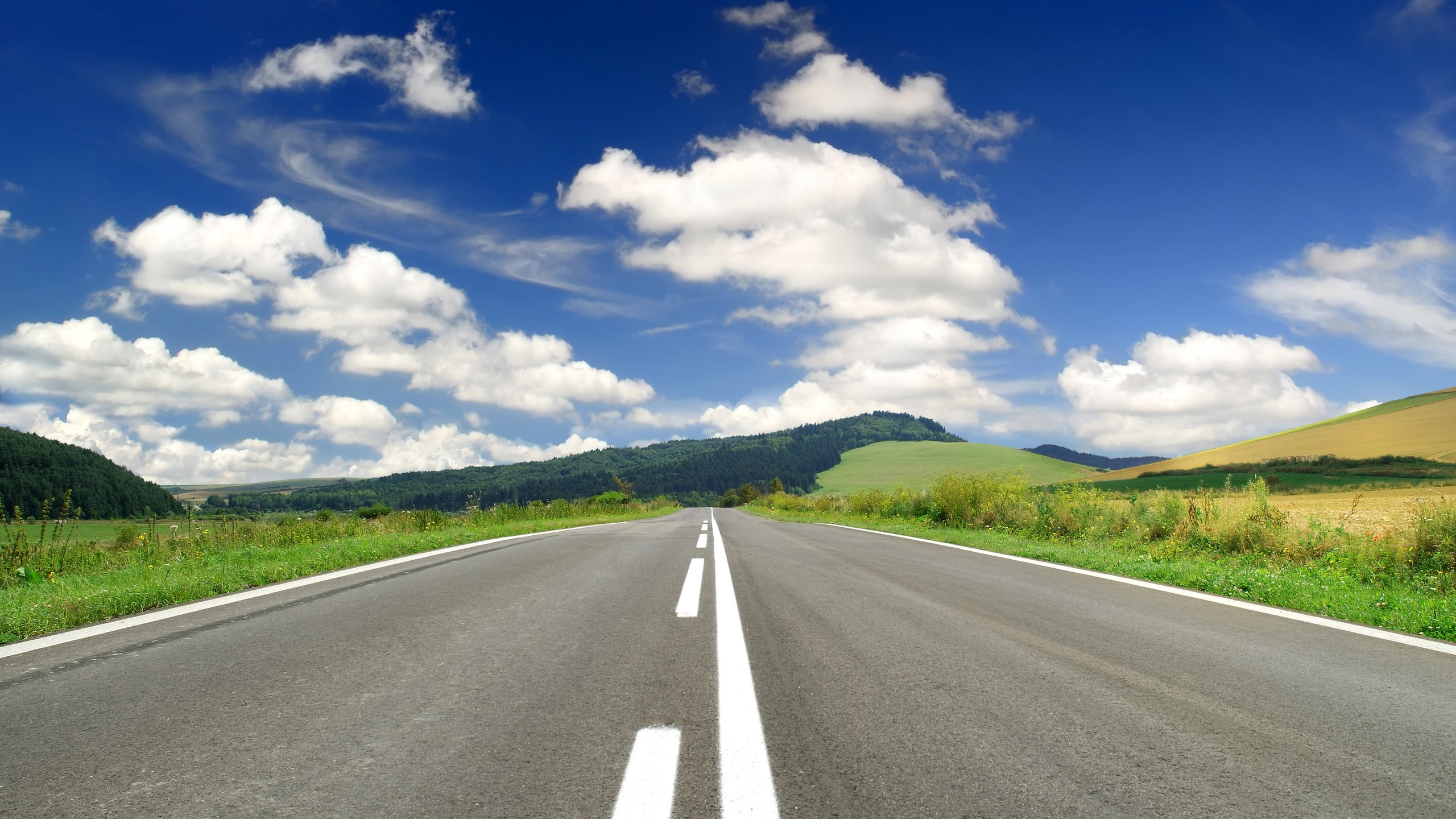 Empty road through green hills under a blue sky HD Wallpaper