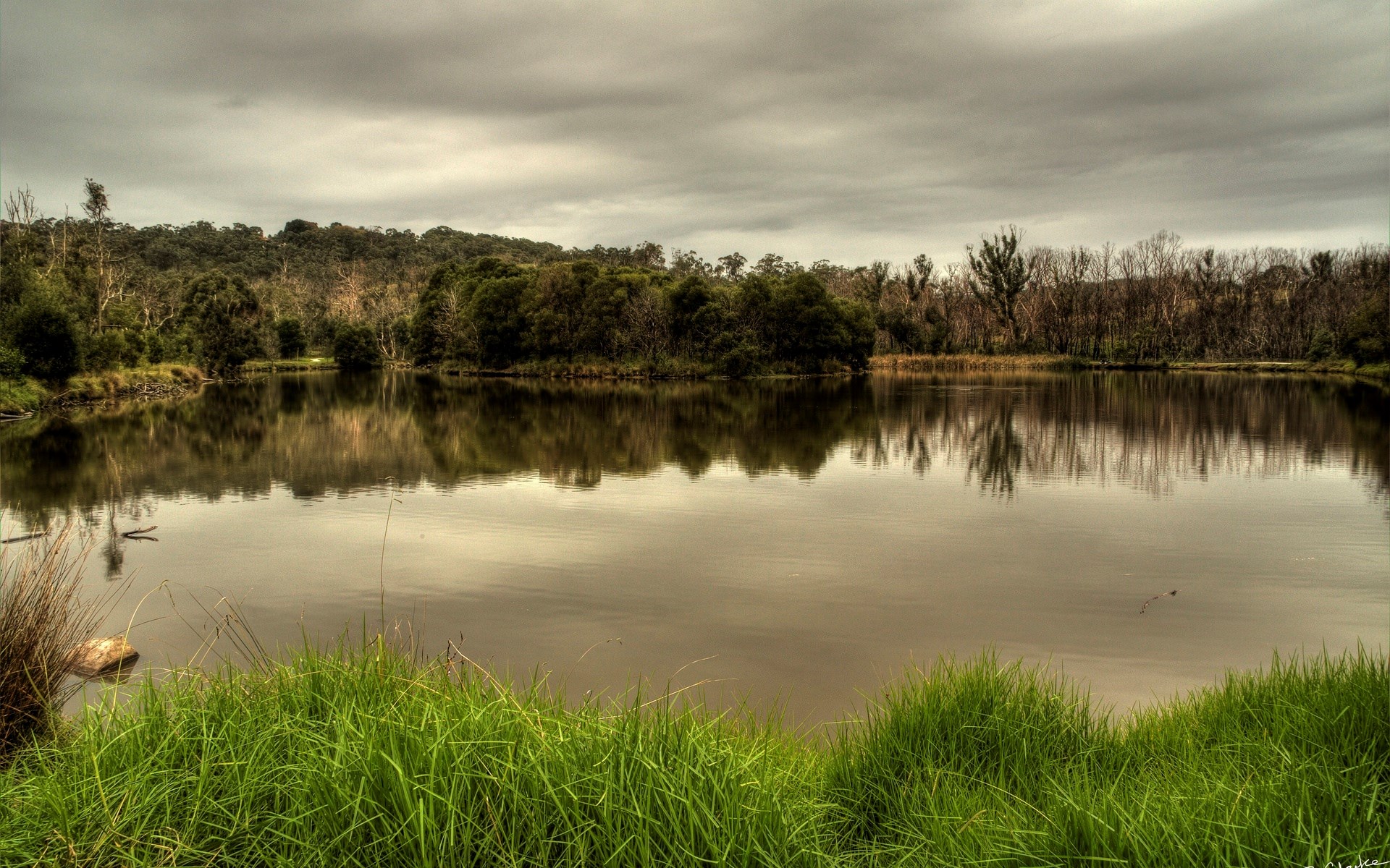 Lake with trees and cloudy sky reflection HD Wallpaper