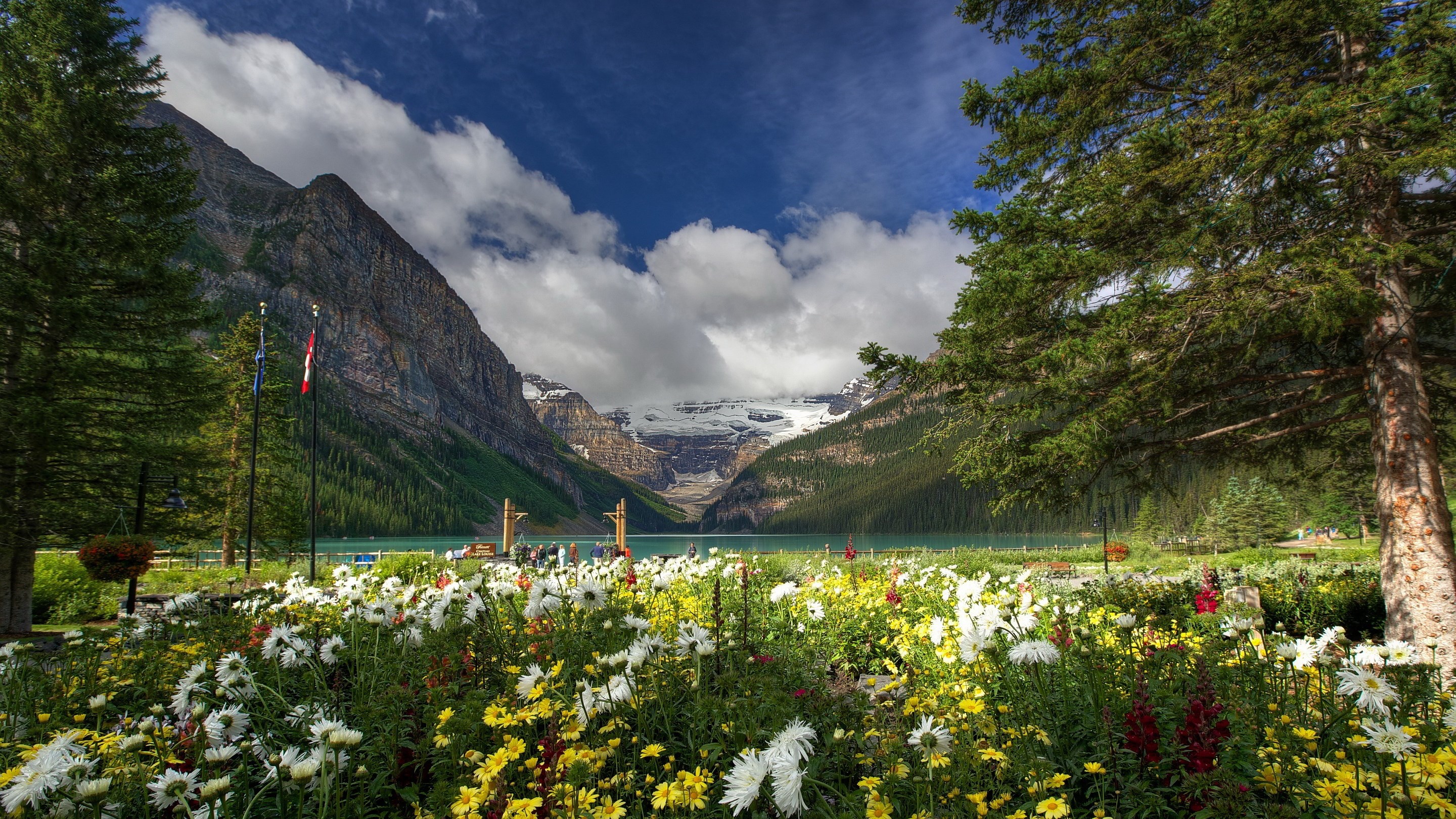Lake Louise with mountains and flowers HD Wallpaper