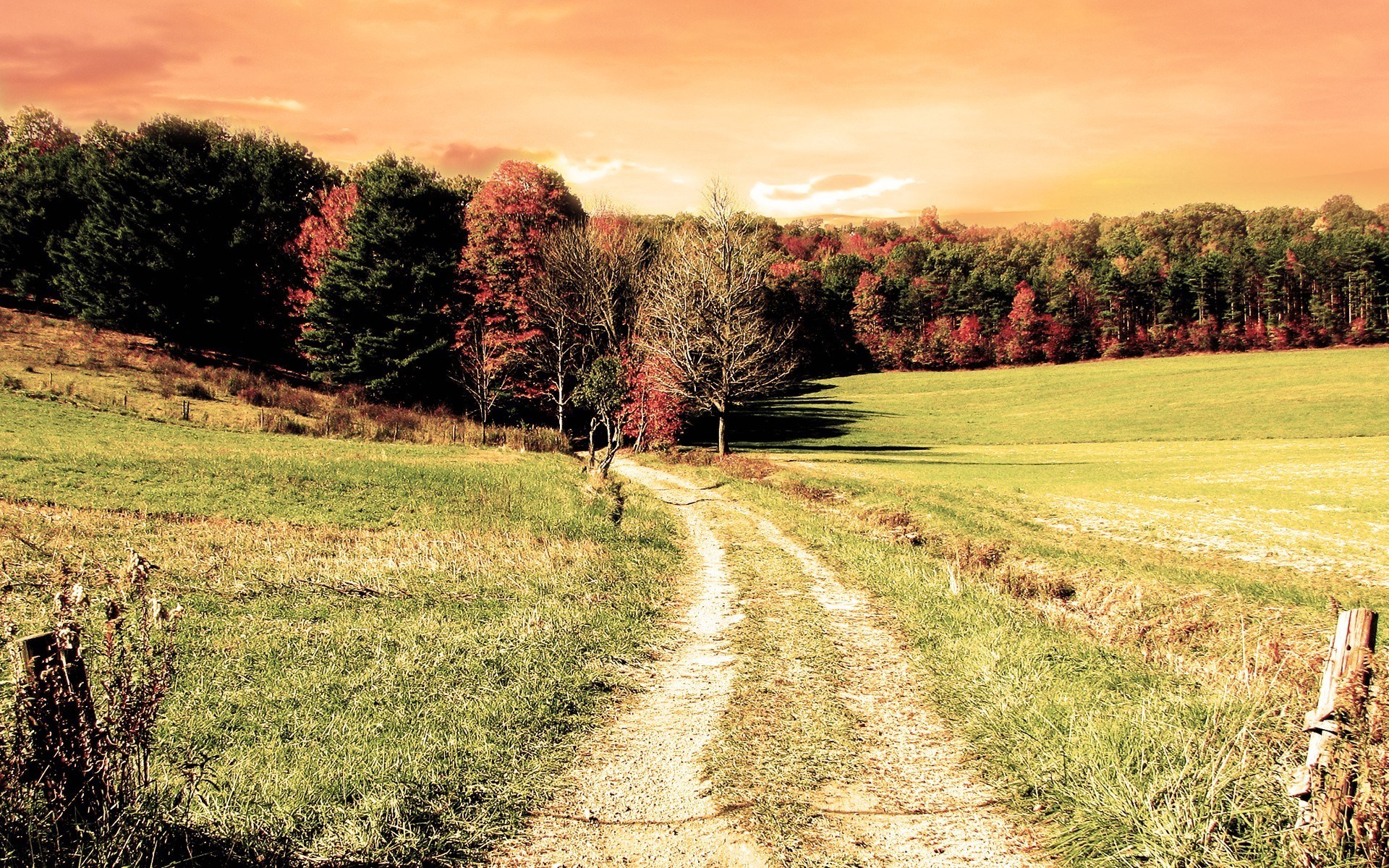 Dirt road through autumn forest and fields HD Wallpaper