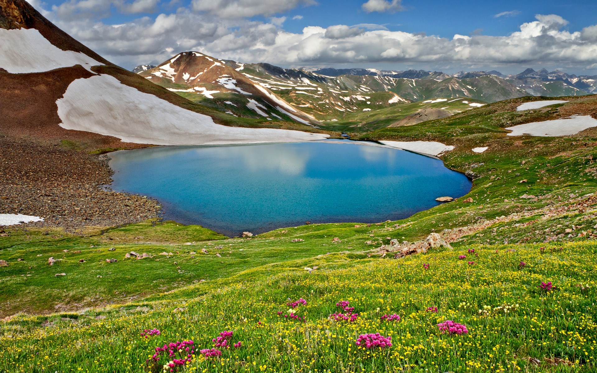 Alpine lake surrounded by mountains and wildflowers HD Wallpaper