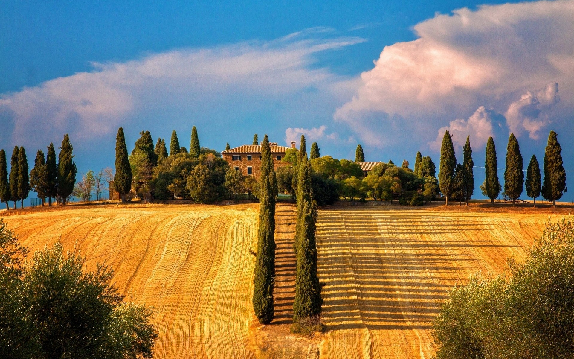 Tuscan Villa with Cypress Trees and Wheat Field HD Wallpaper