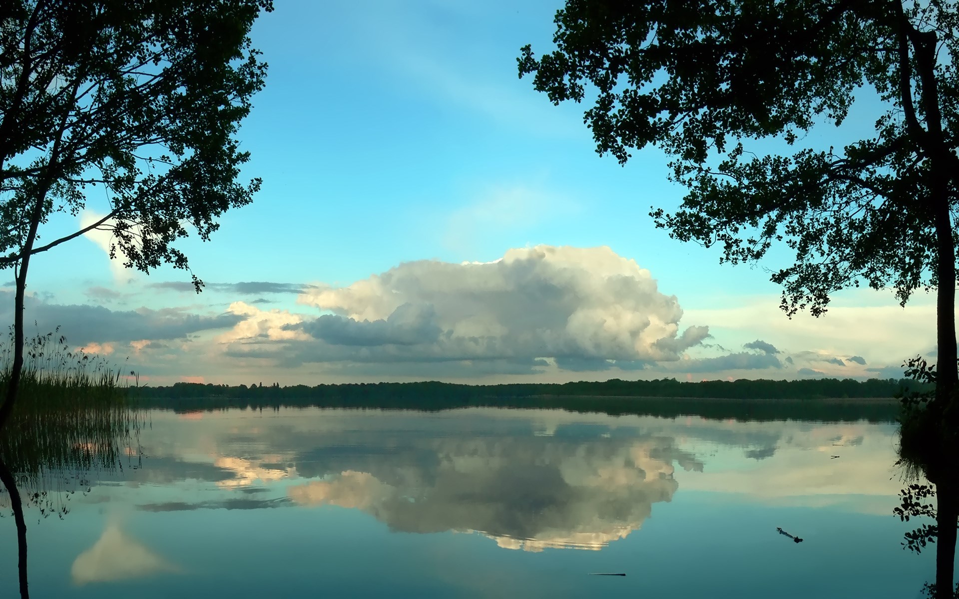 Lake reflection with trees and clouds HD Wallpaper