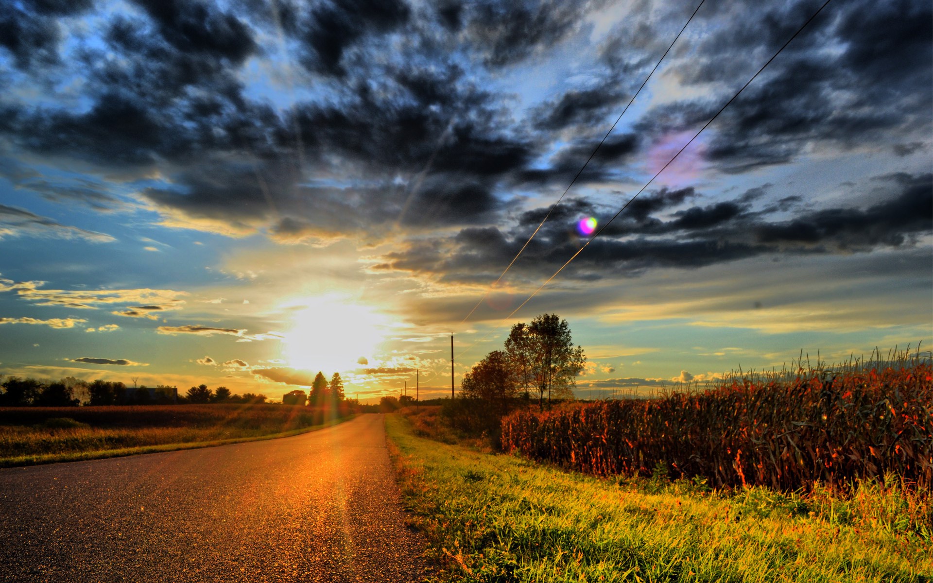 Road through a cornfield at sunset with power lines HD Wallpaper