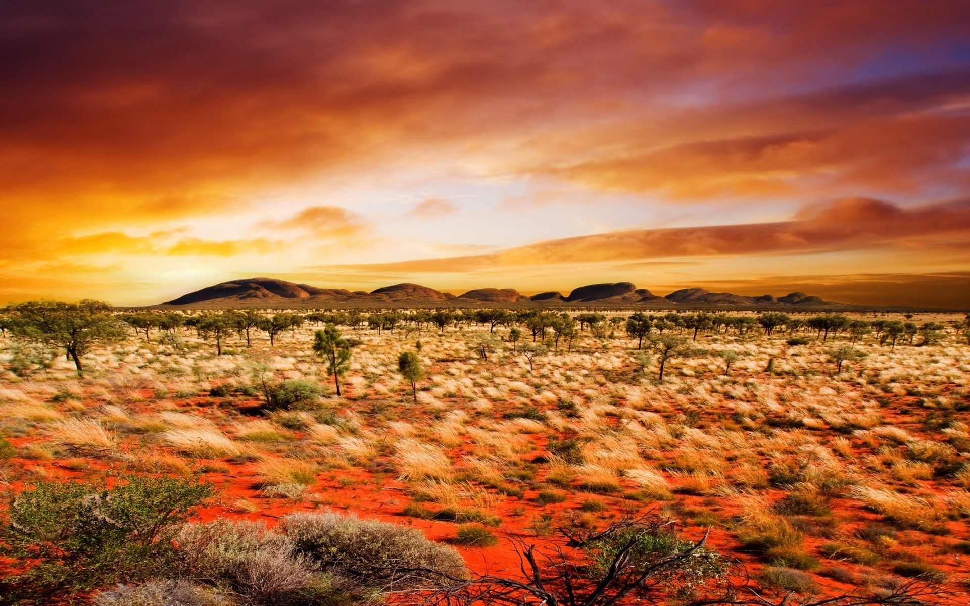 Australian Outback landscape at sunset HD Wallpaper