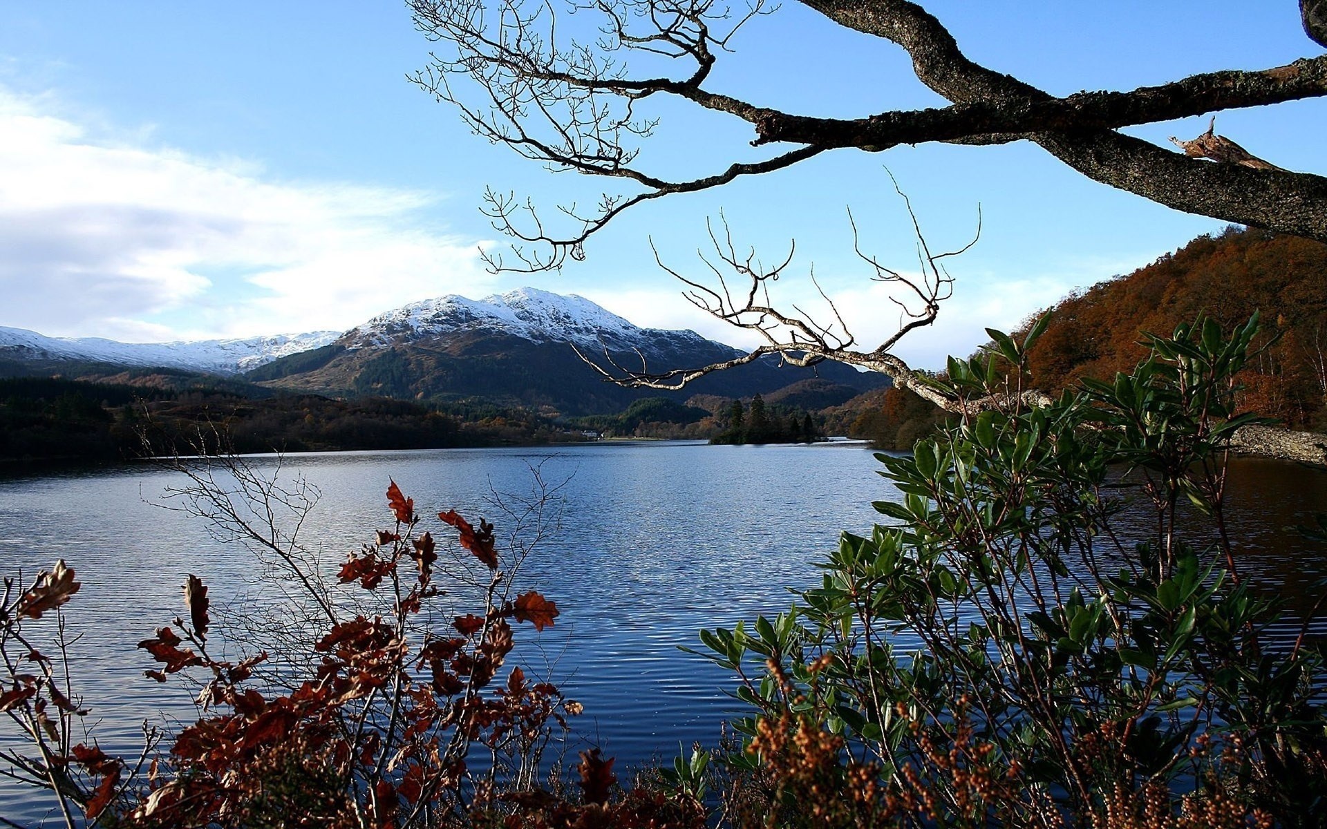 Lake with snow-capped mountains and trees in foreground HD Wallpaper