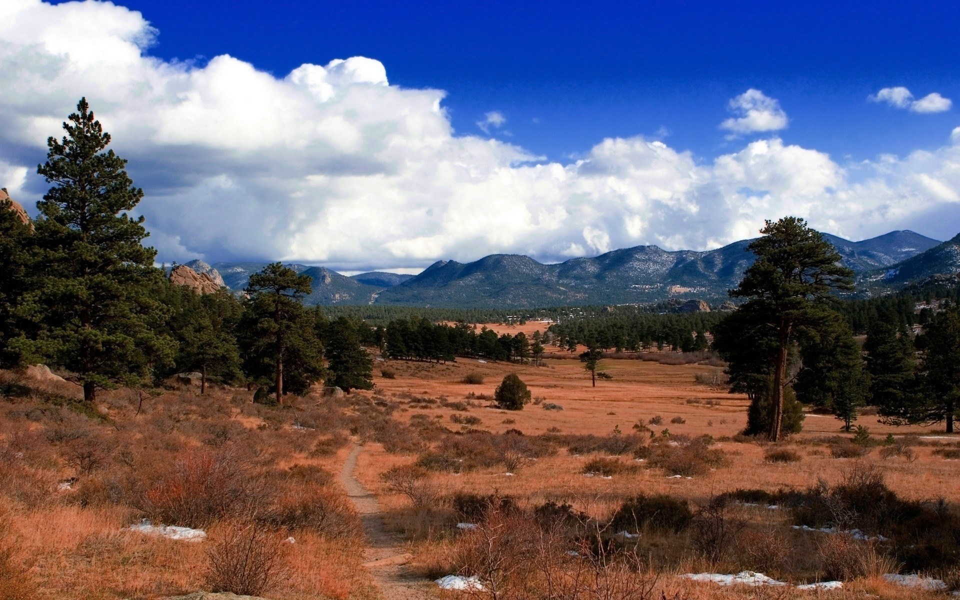 Mountain landscape with pine trees and a dirt path HD Wallpaper