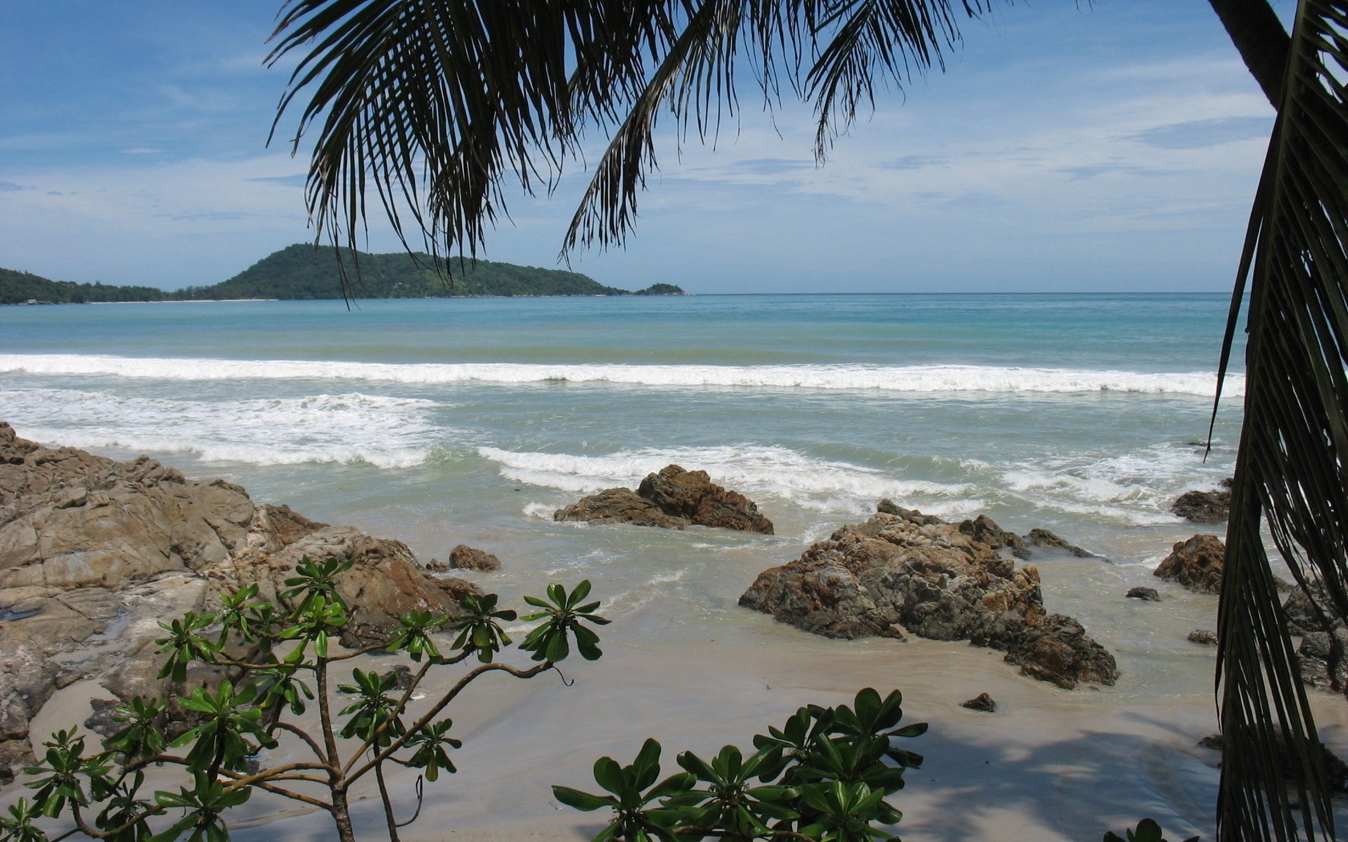 Tropical beach with palm trees and ocean waves HD Wallpaper