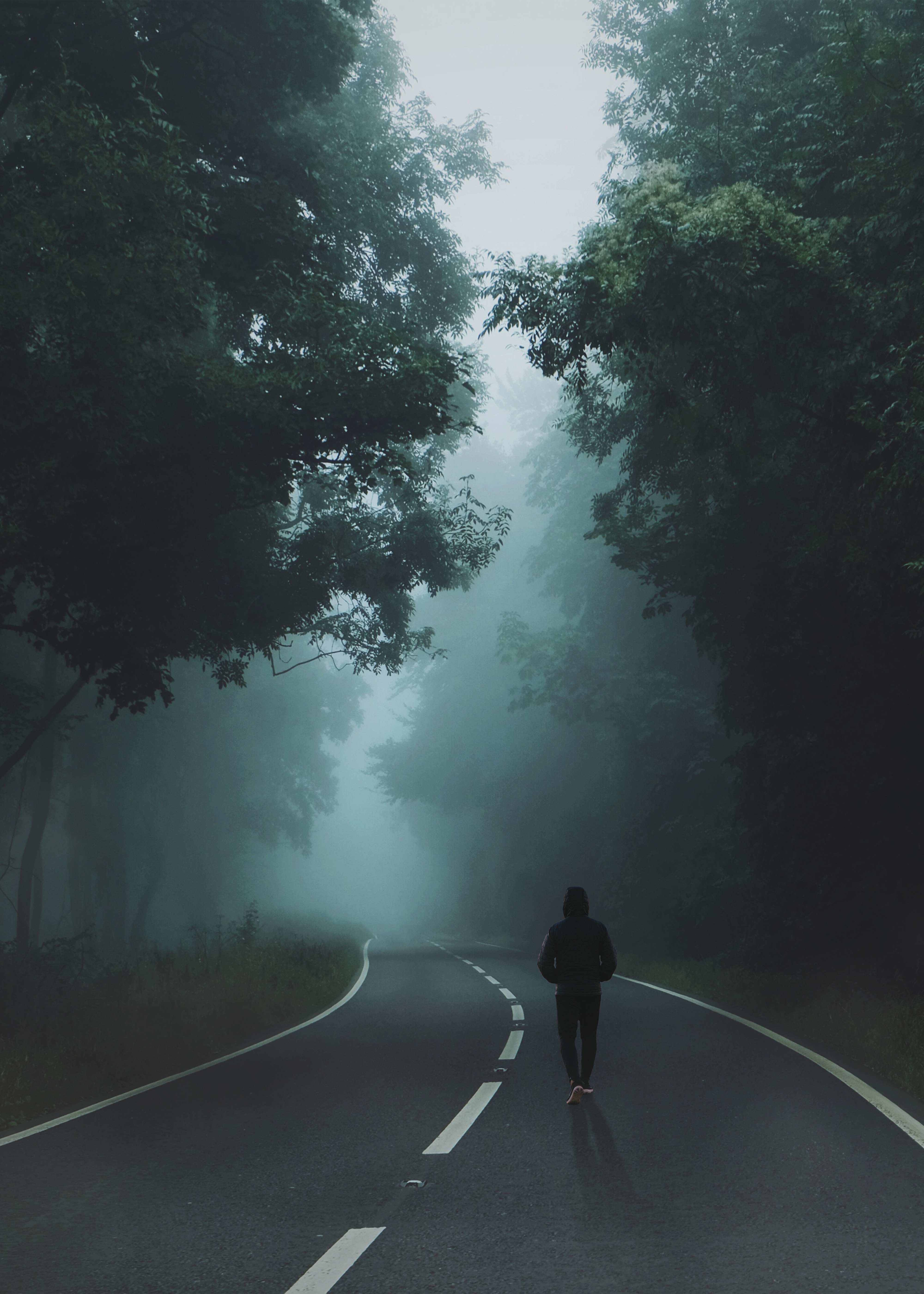 Person walking on a foggy road through a forest HD Wallpaper