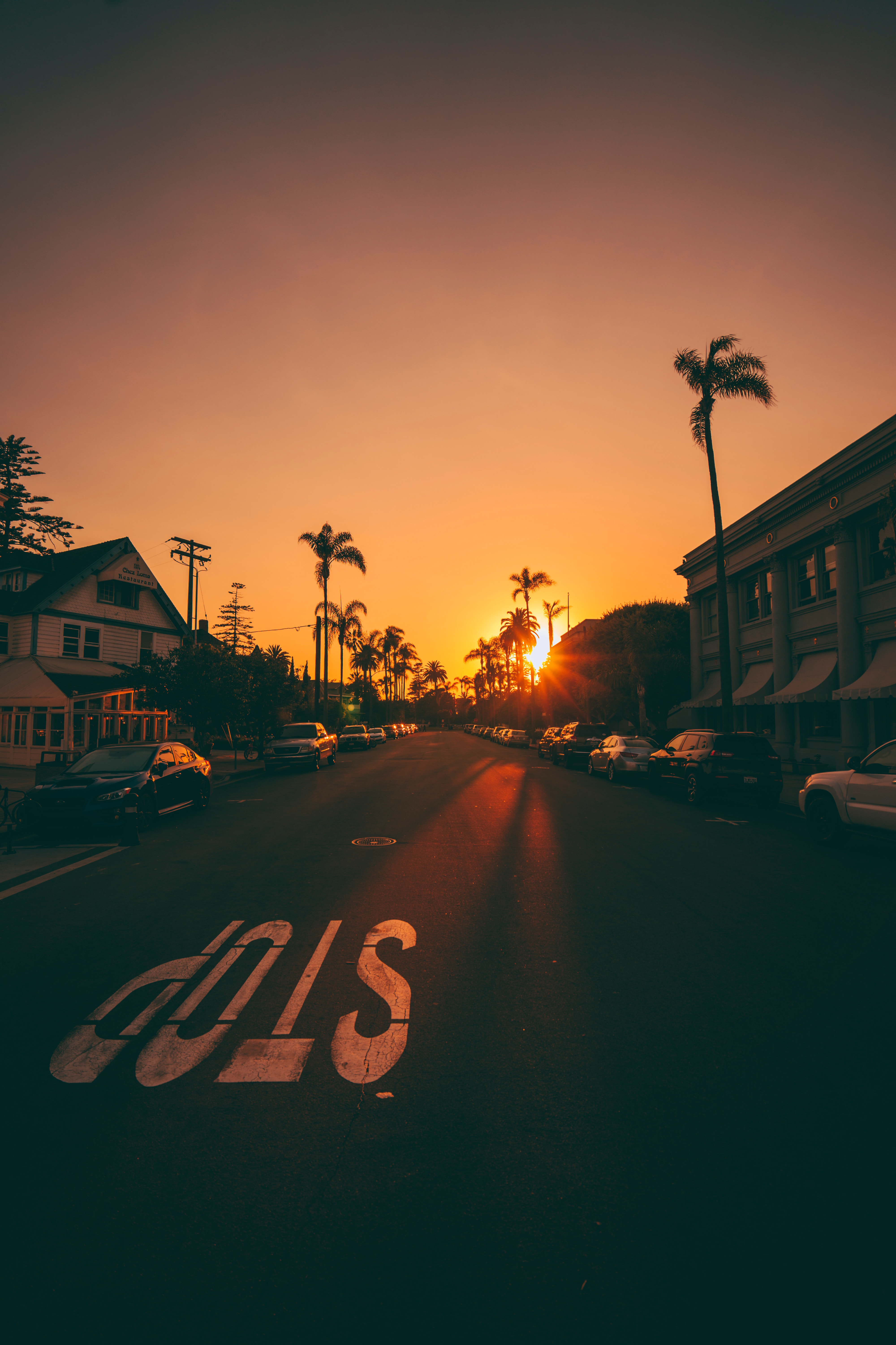Street at sunset with palm trees and stop sign HD Wallpaper