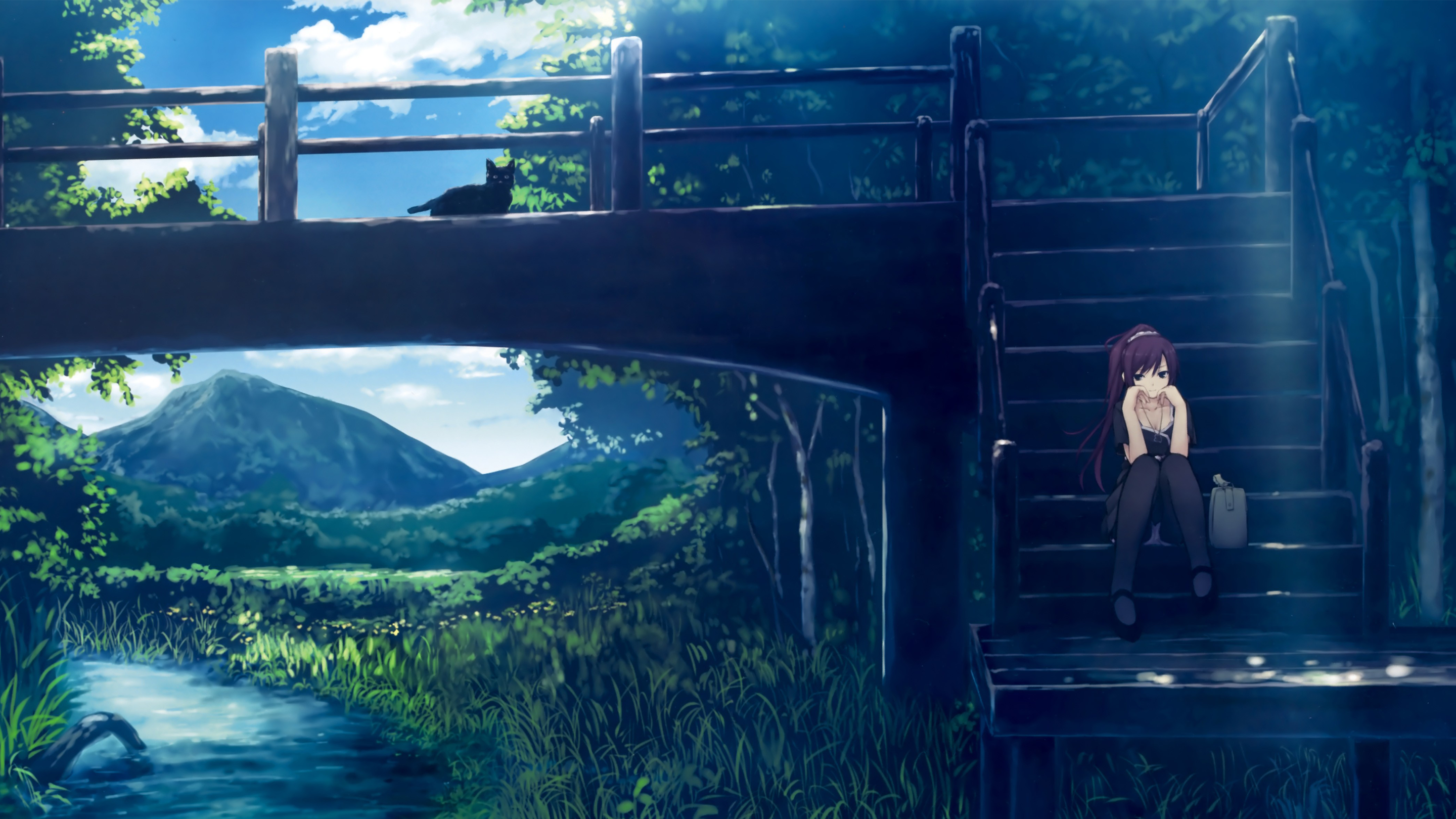 Senjougahara Hitagi from Monogatari Series with a cat HD Wallpaper