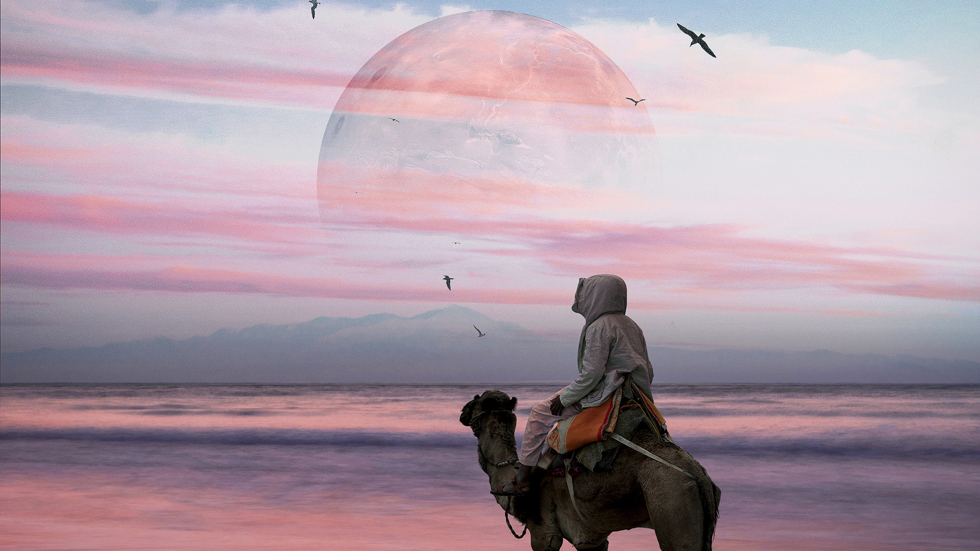 Camel rider in front of a large moon and ocean HD Wallpaper