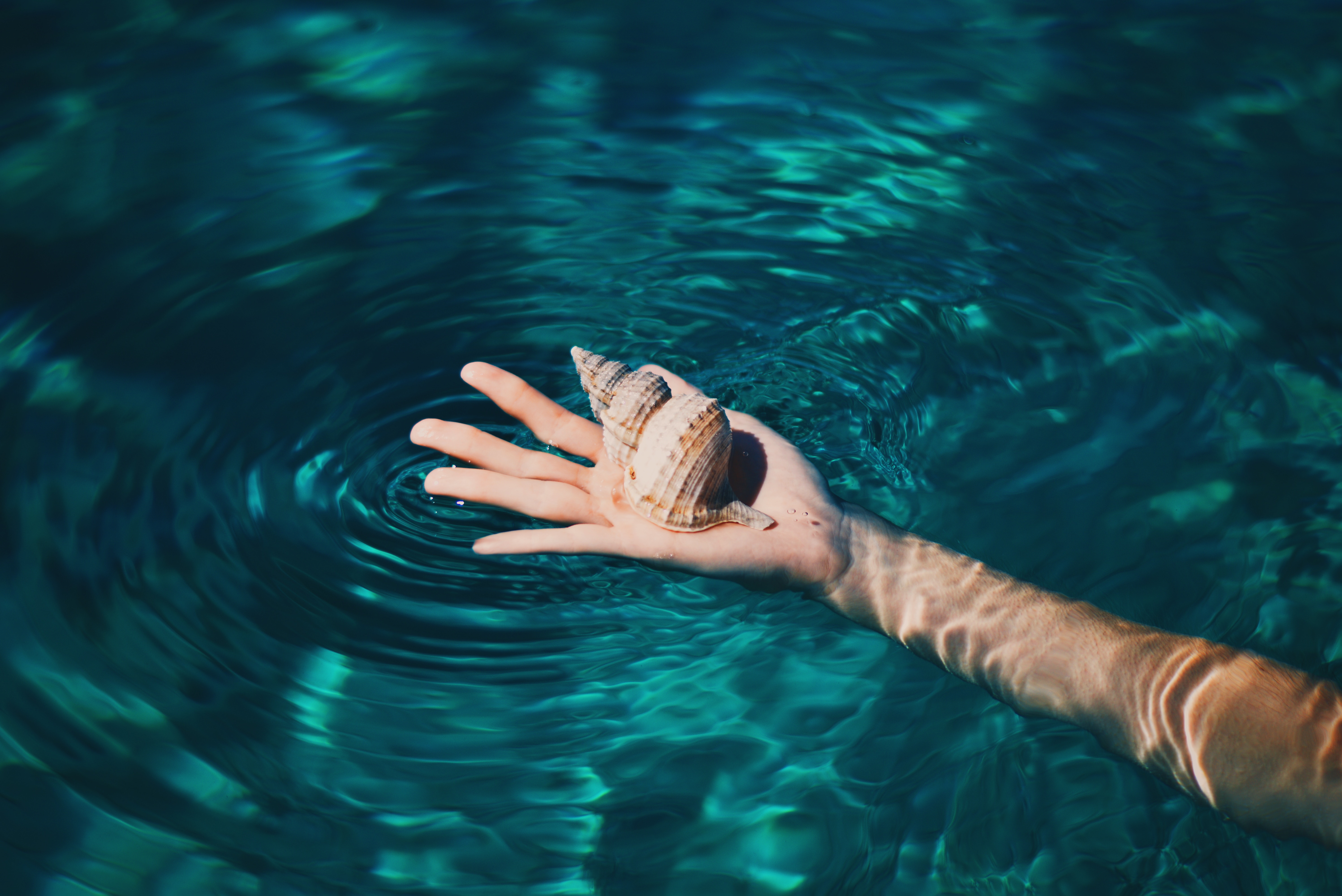 Hand holding a seashell in clear blue water HD Wallpaper