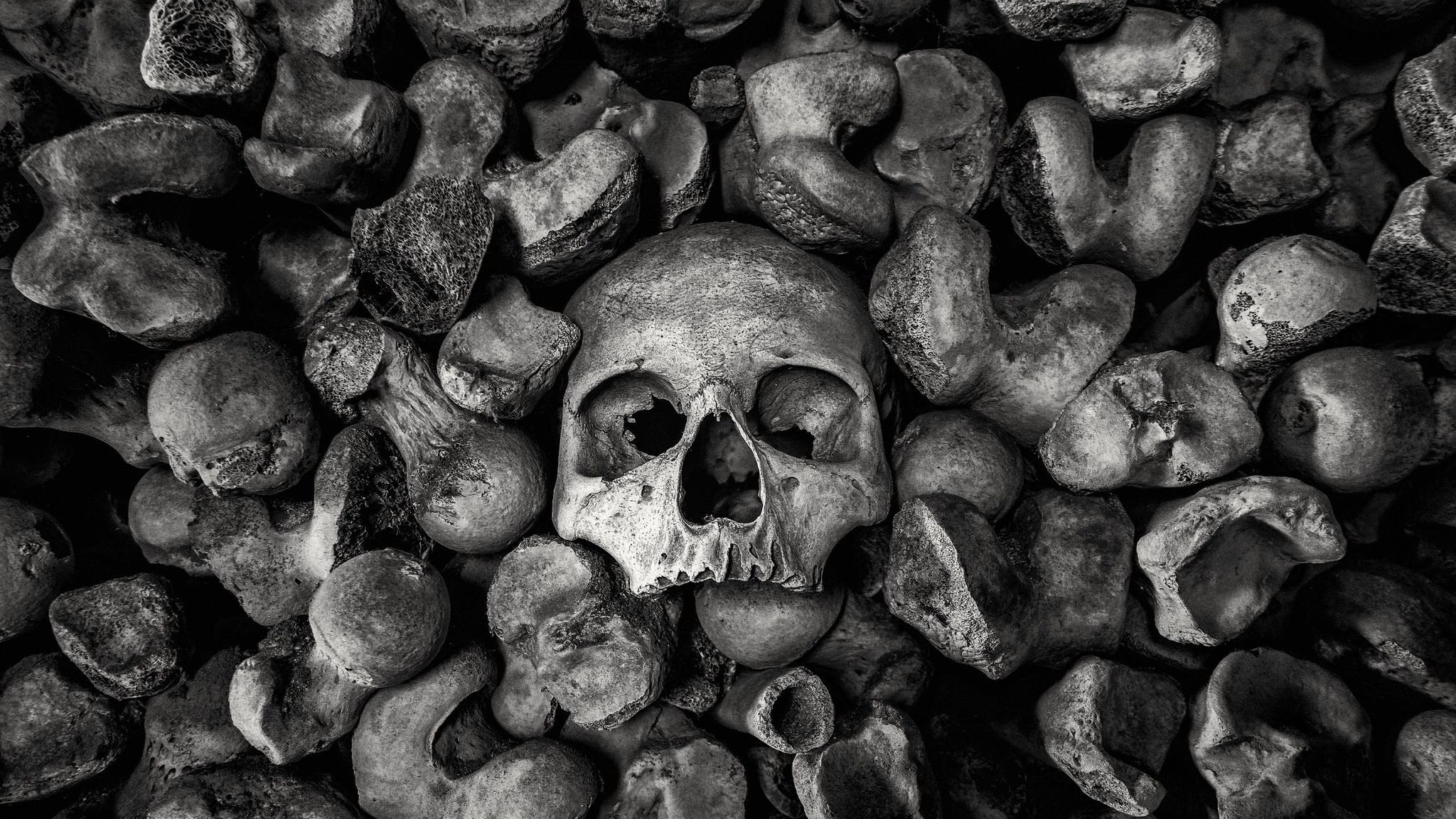 Monochrome image of a skull surrounded by bones HD Wallpaper