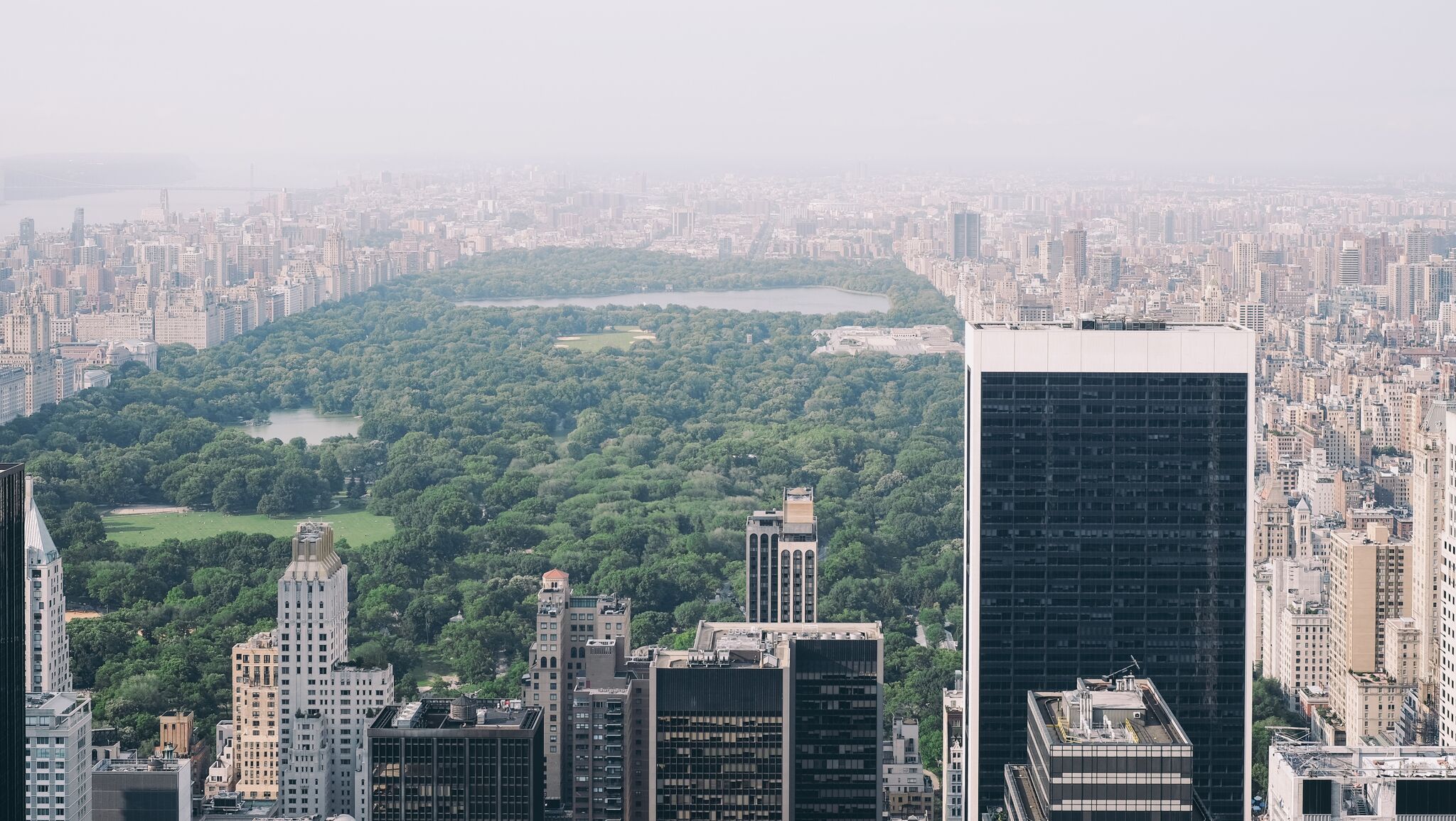 Central Park and New York City Skyline HD Wallpaper