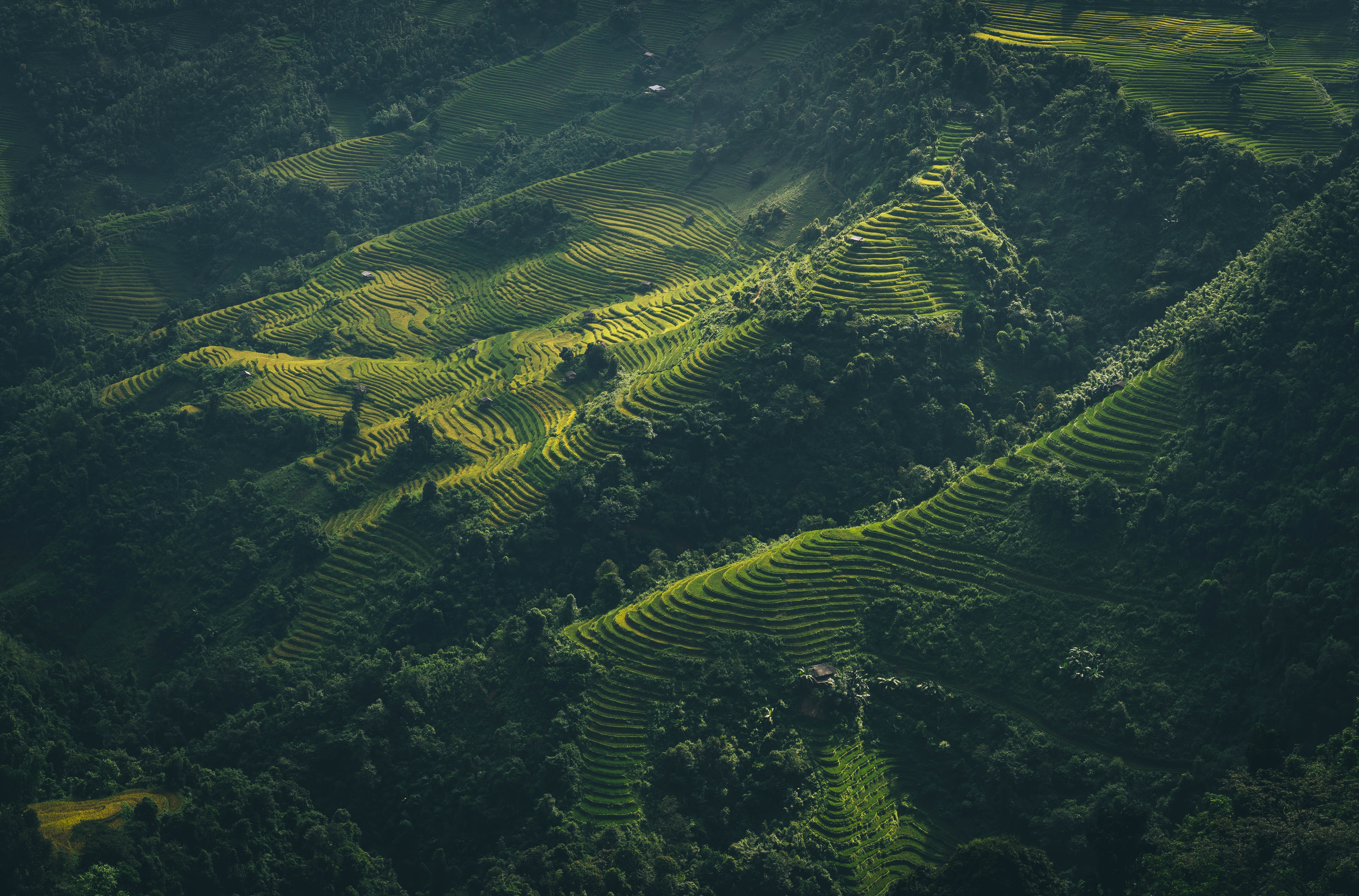 Terraced rice fields in Vietnam from aerial view HD Wallpaper
