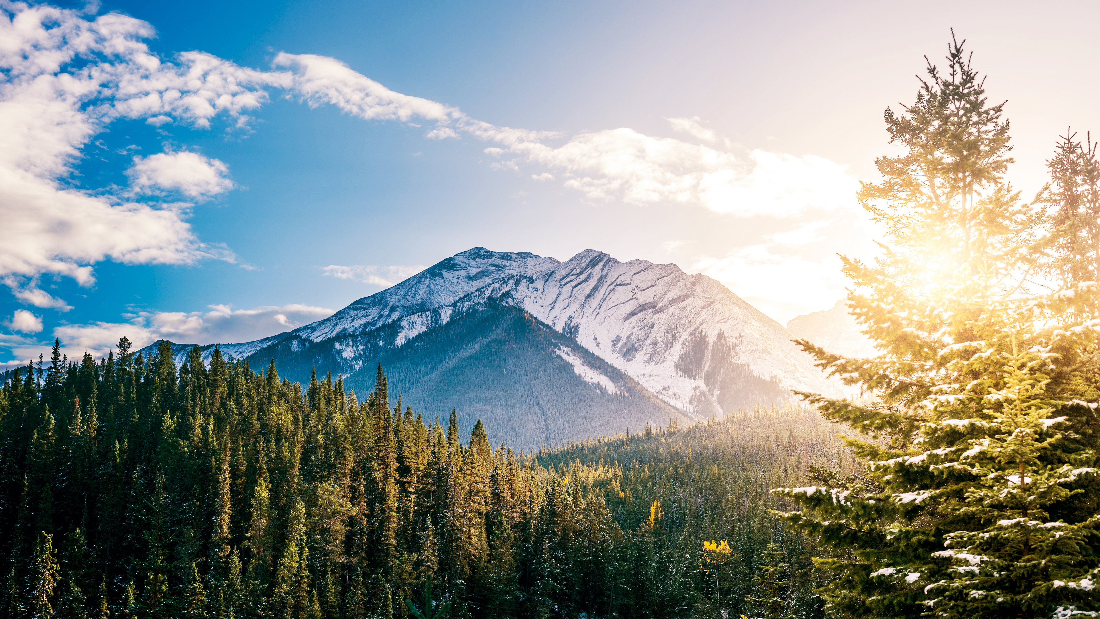 Snowy mountains and evergreen forest with sun flare HD Wallpaper