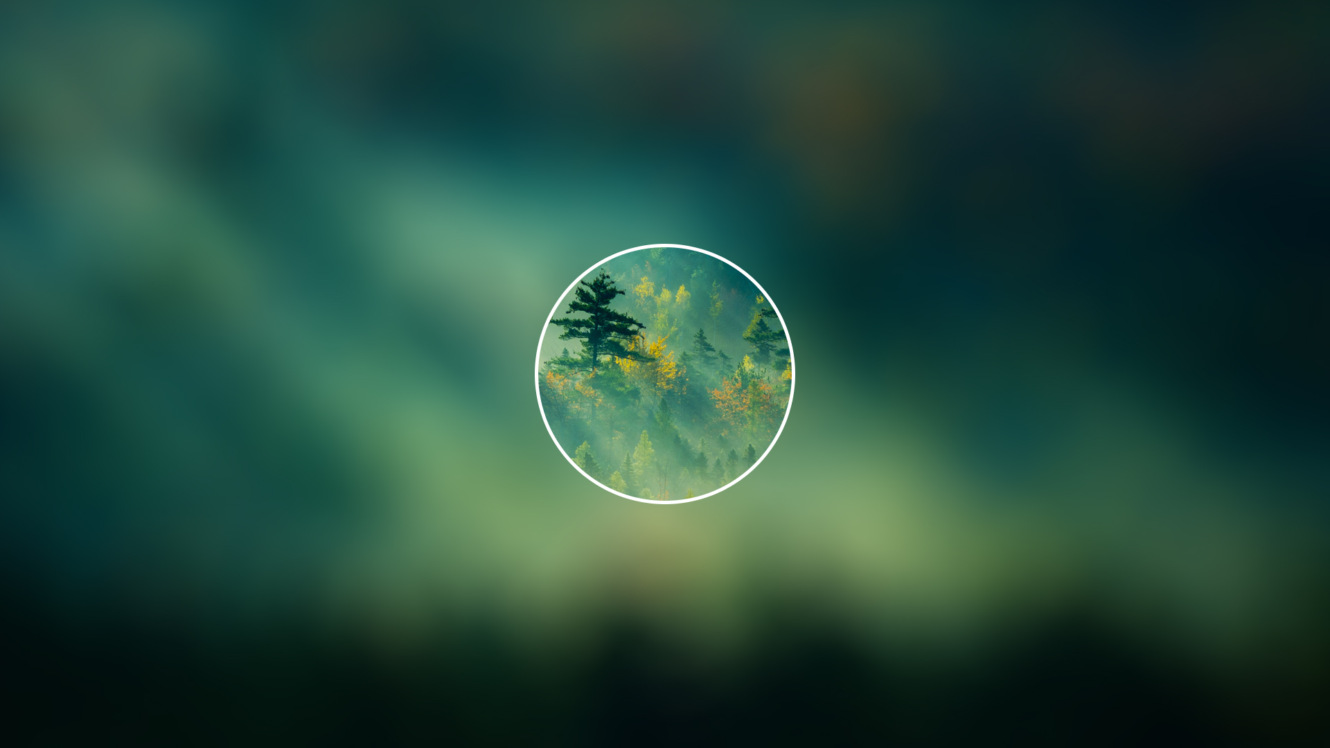 Blurred forest scene within a circle HD Wallpaper