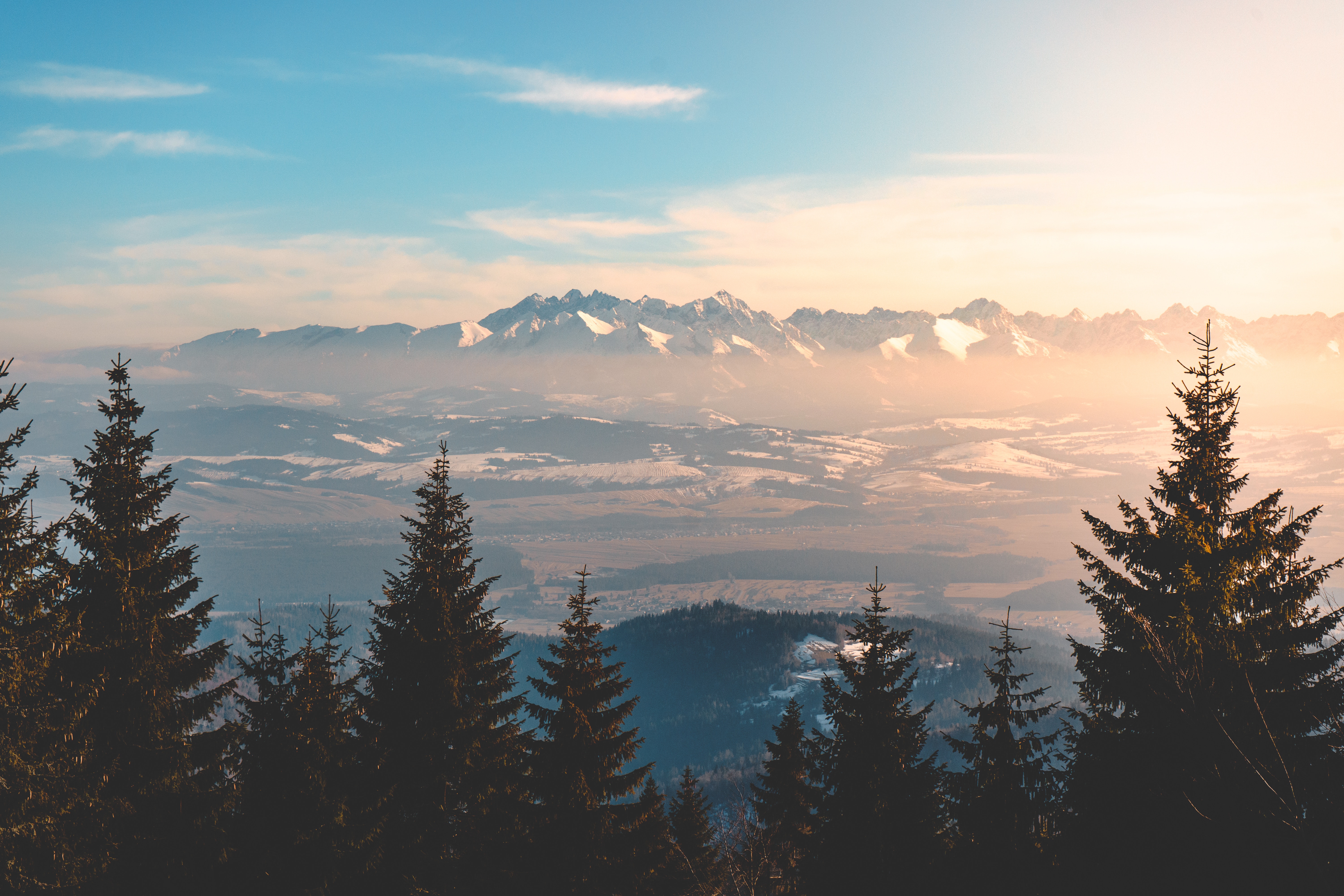 Snow-capped mountains and forest in the distance HD Wallpaper