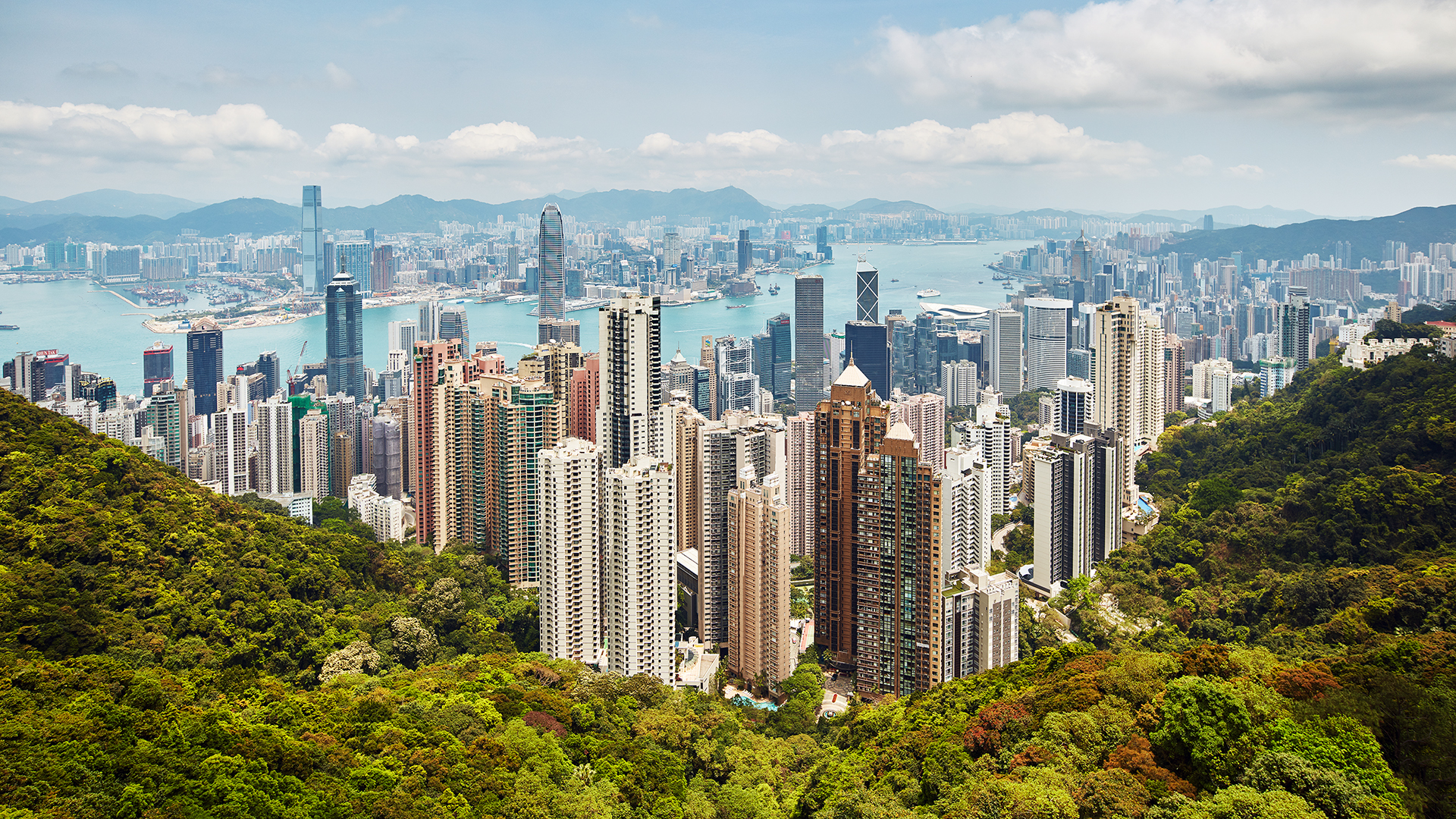 Hong Kong cityscape with lush green hills HD Wallpaper