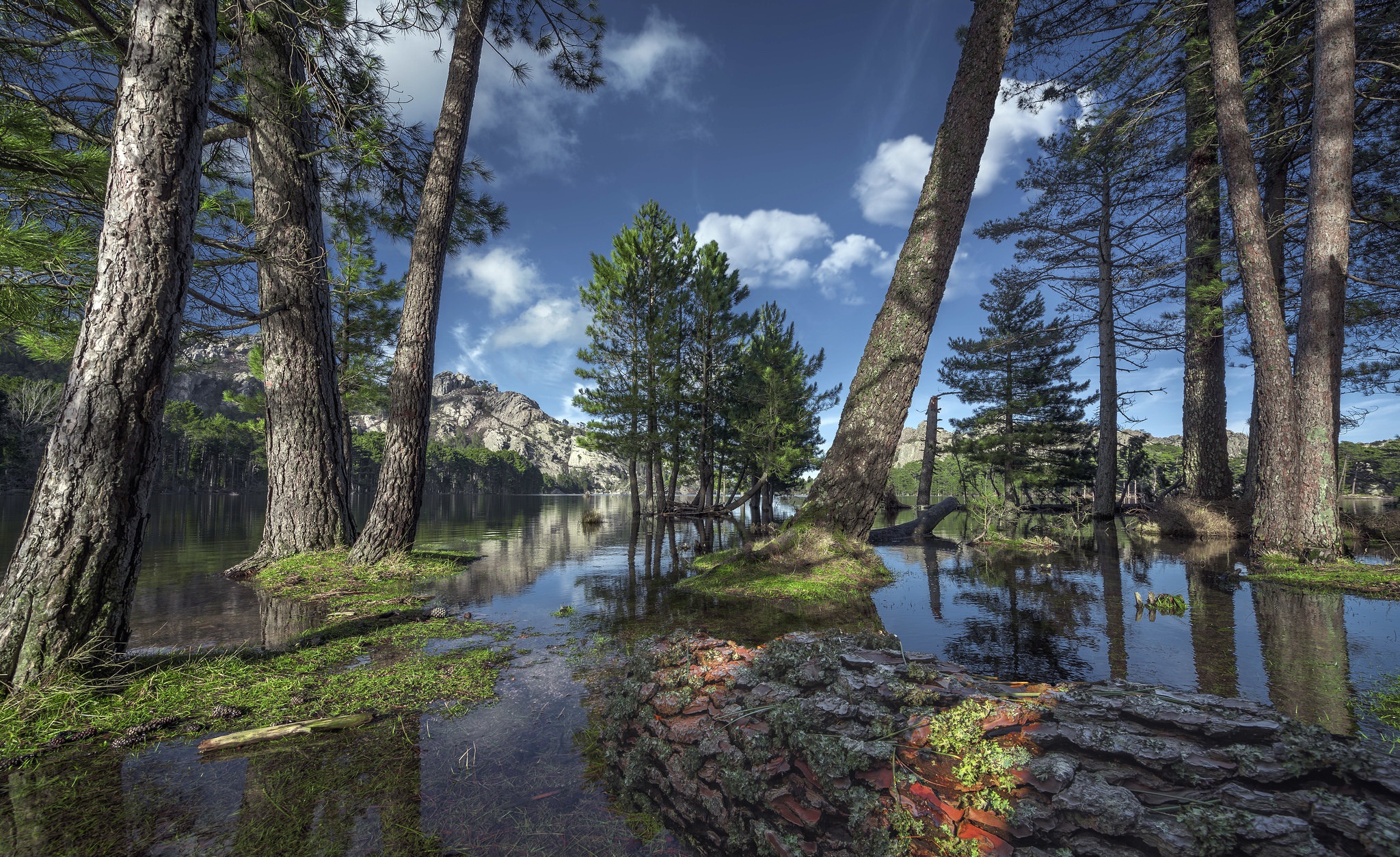 Trees reflected in a lake with mountains in the background HD Wallpaper