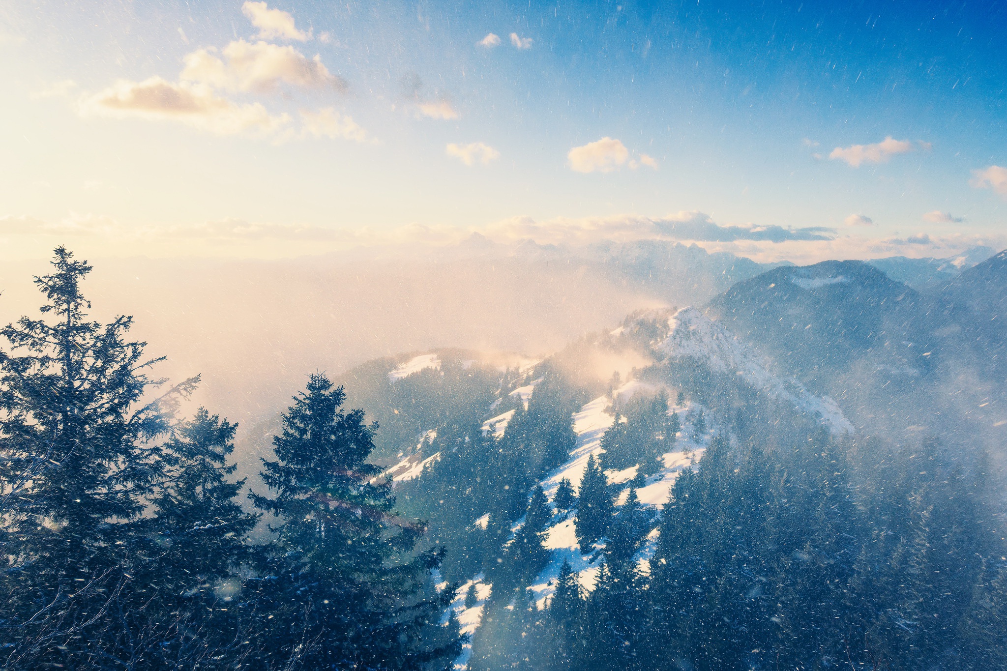 Snowy mountain landscape with pine trees HD Wallpaper