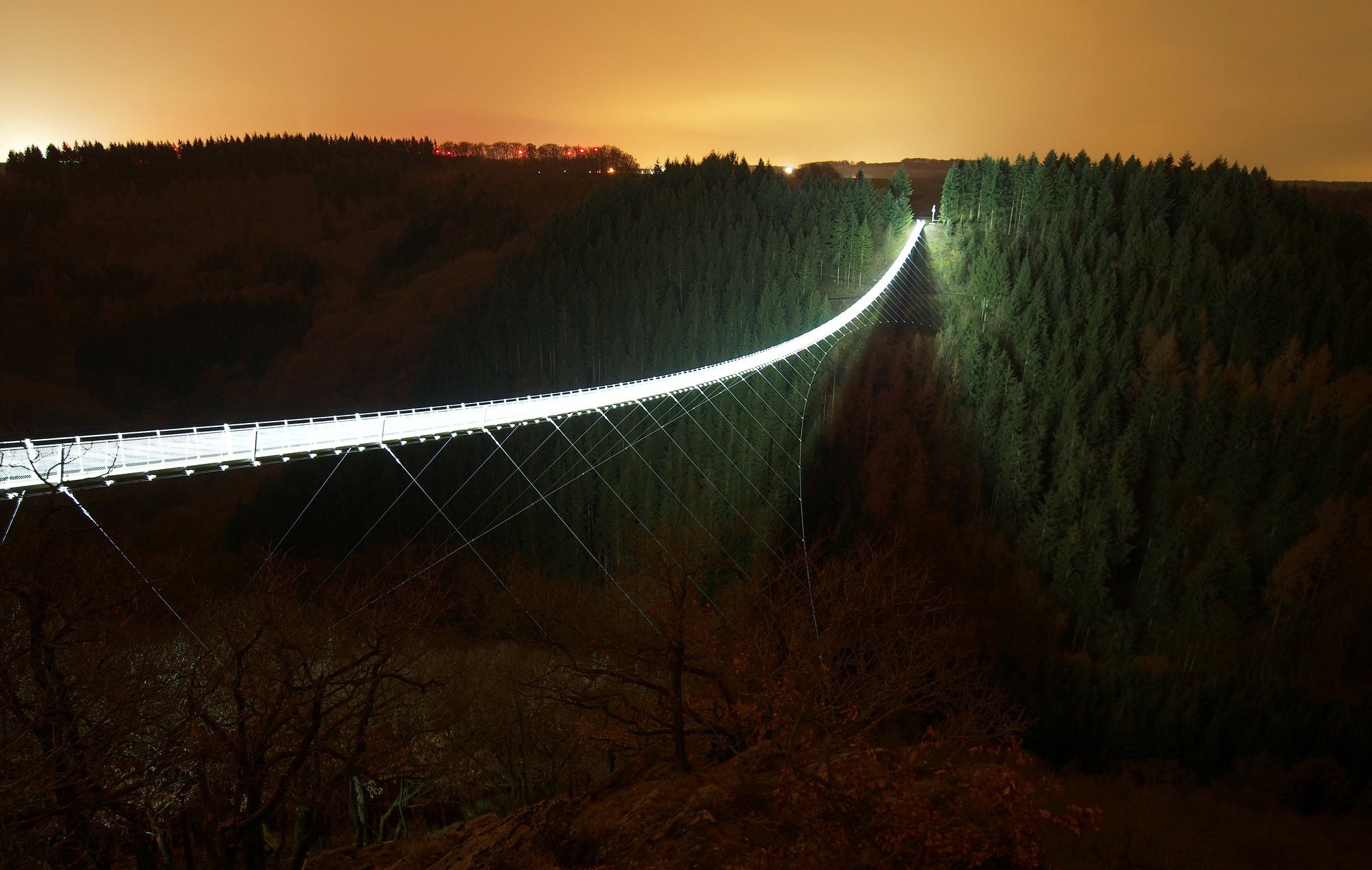 Illuminated suspension bridge over a forest at night HD Wallpaper