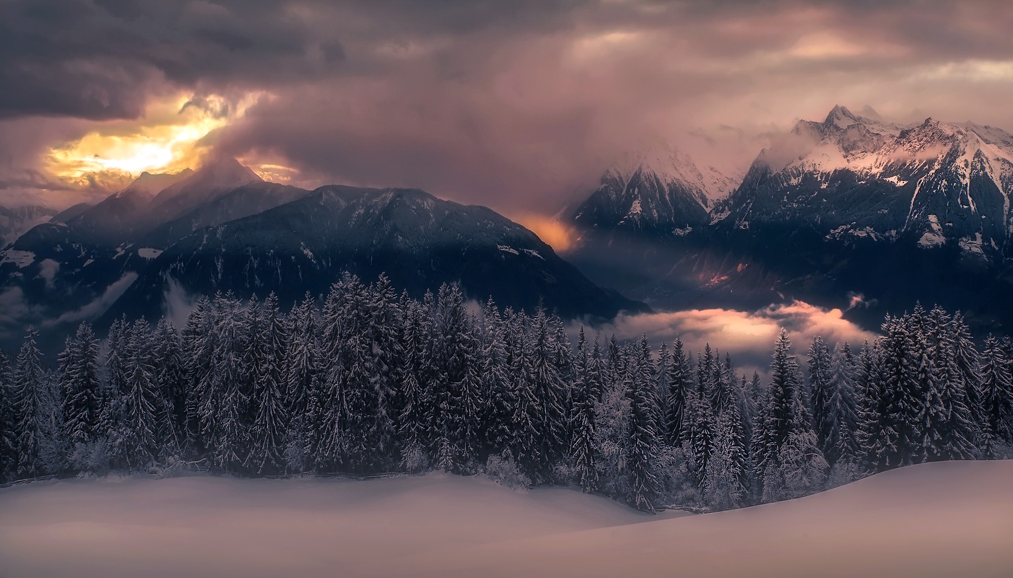Snowy mountains and forest at sunset HD Wallpaper