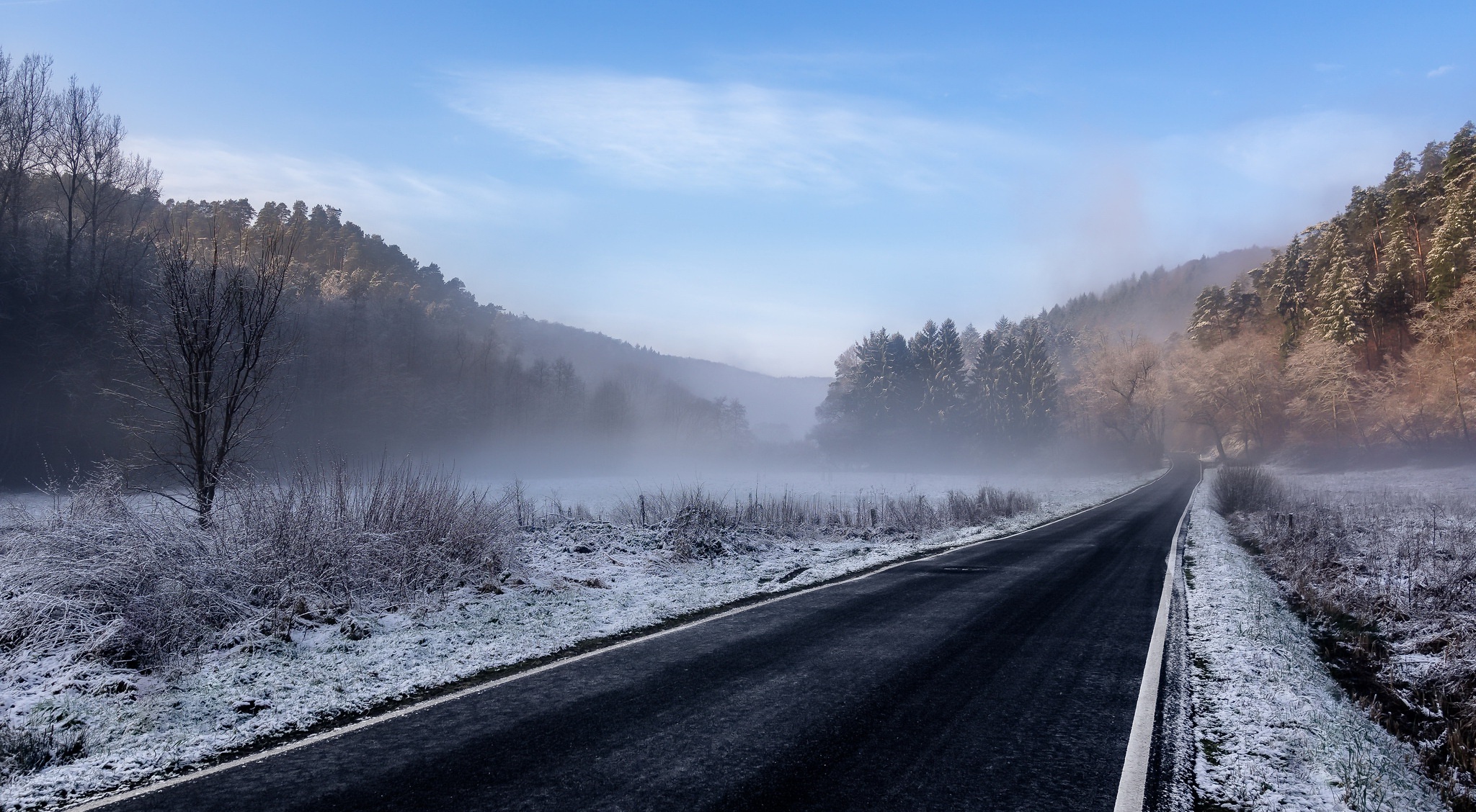 Winter road through a foggy forest landscape HD Wallpaper