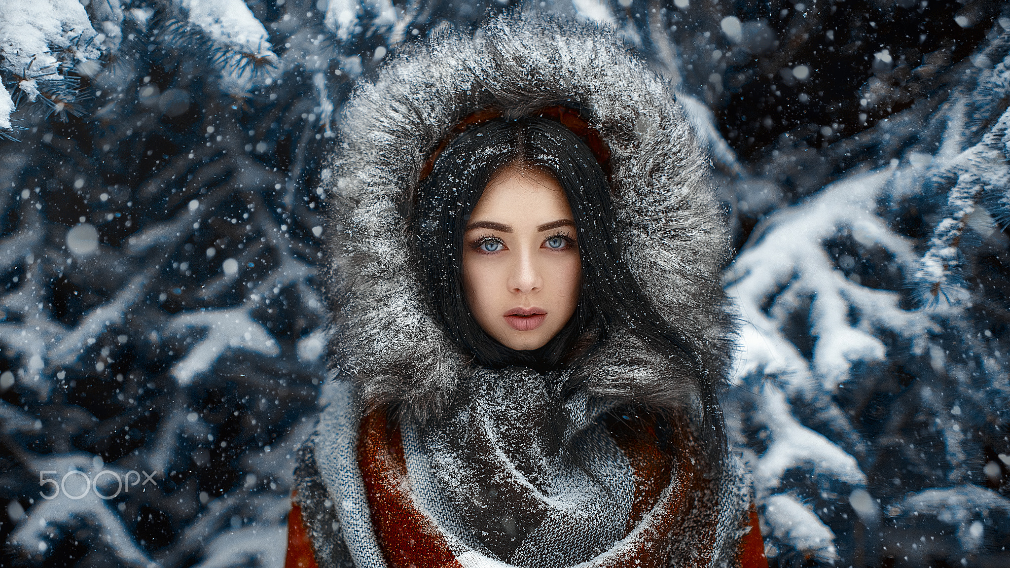 Woman with blue eyes and black hair in a snowy forest HD Wallpaper