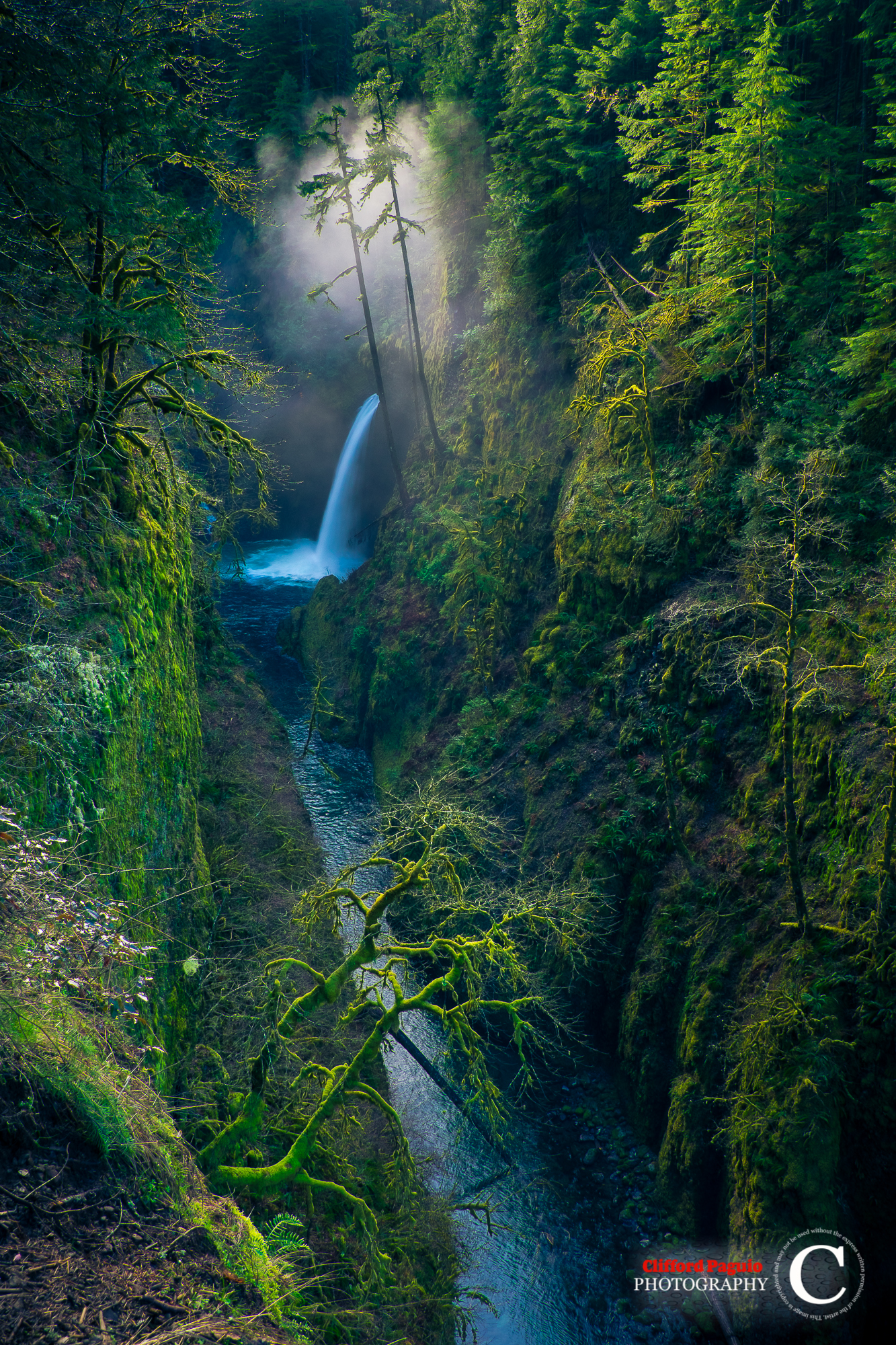 Waterfall in a mossy forest valley in Oregon HD Wallpaper