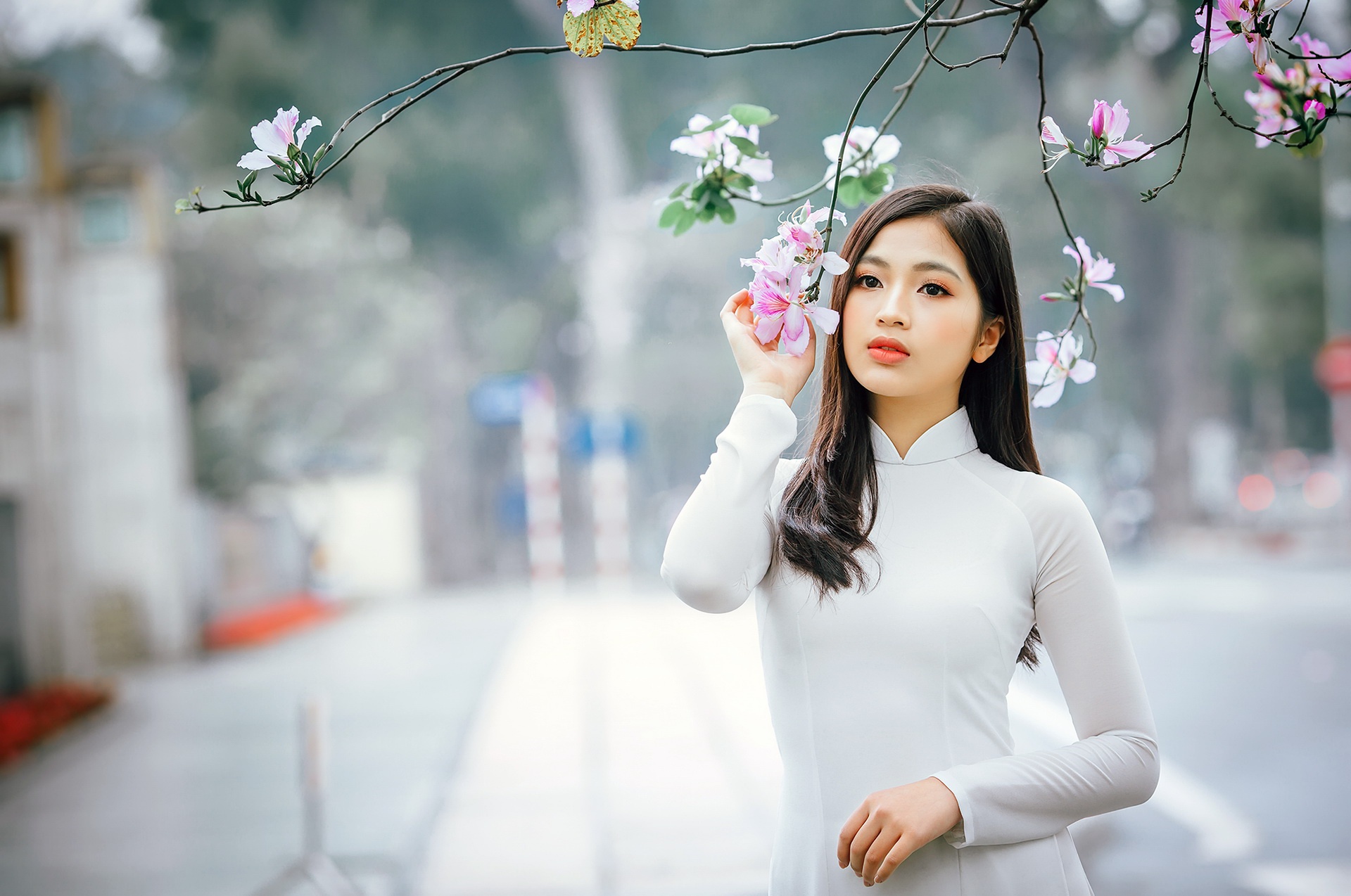 model, women, Asian, áo dài HD Wallpaper