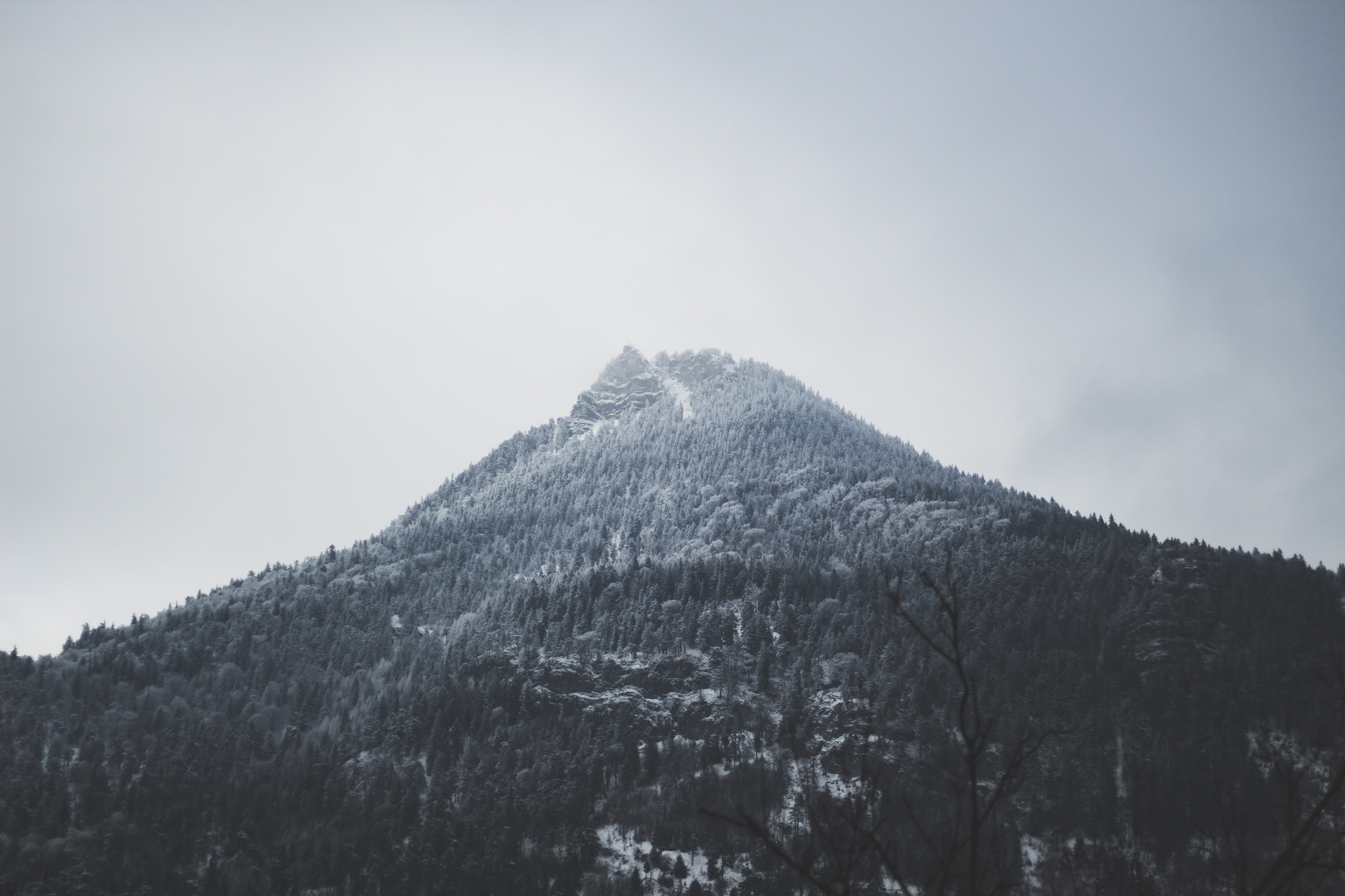 Snow-covered mountain peak with forest HD Wallpaper