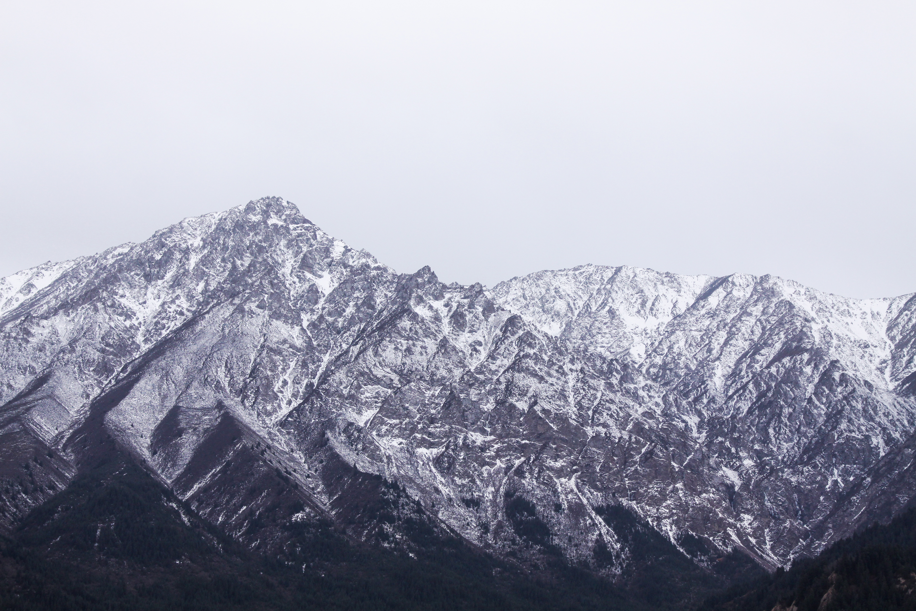Snow-covered mountains and dark forest under a pale sky HD Wallpaper