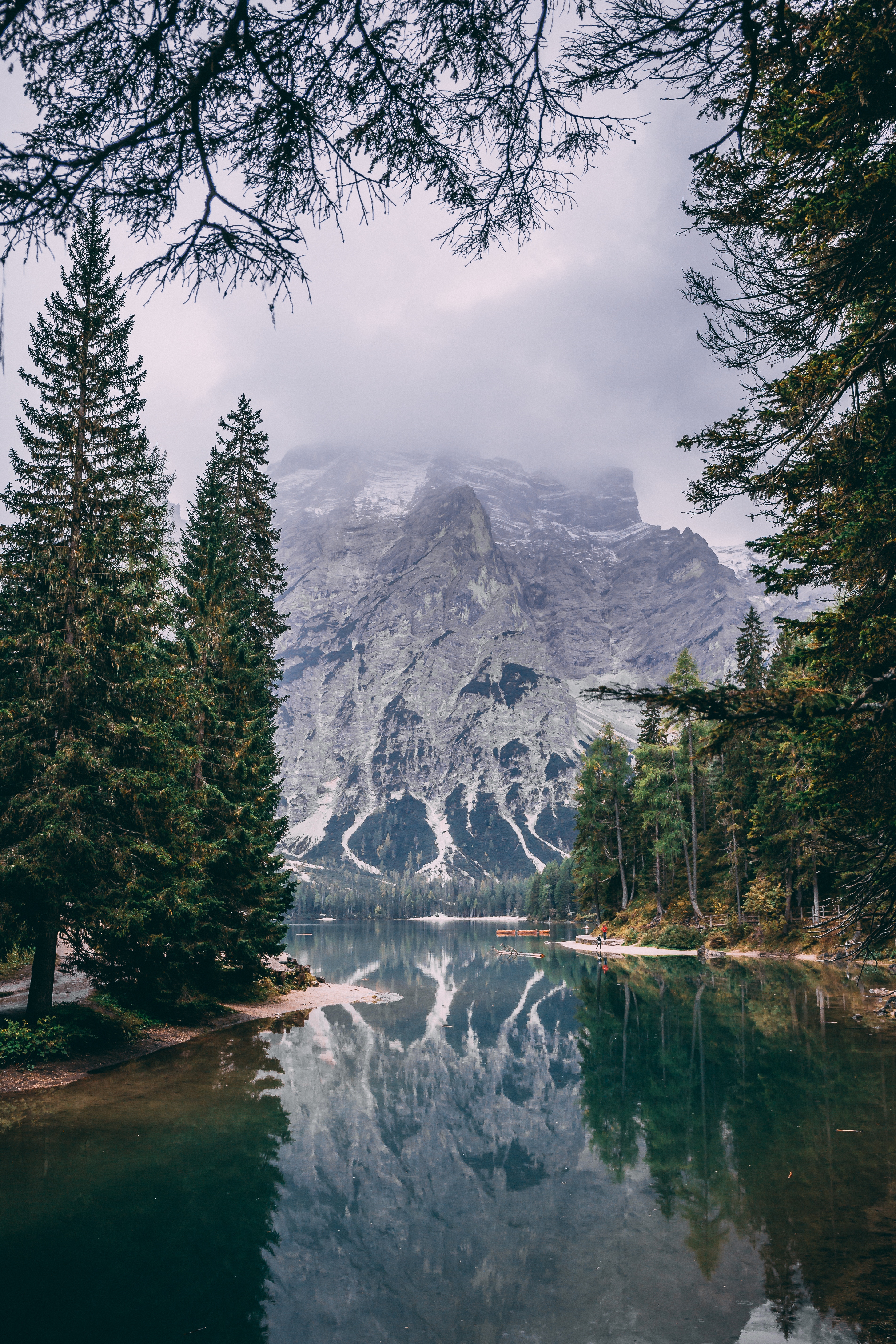 Lake and mountains with trees HD Wallpaper