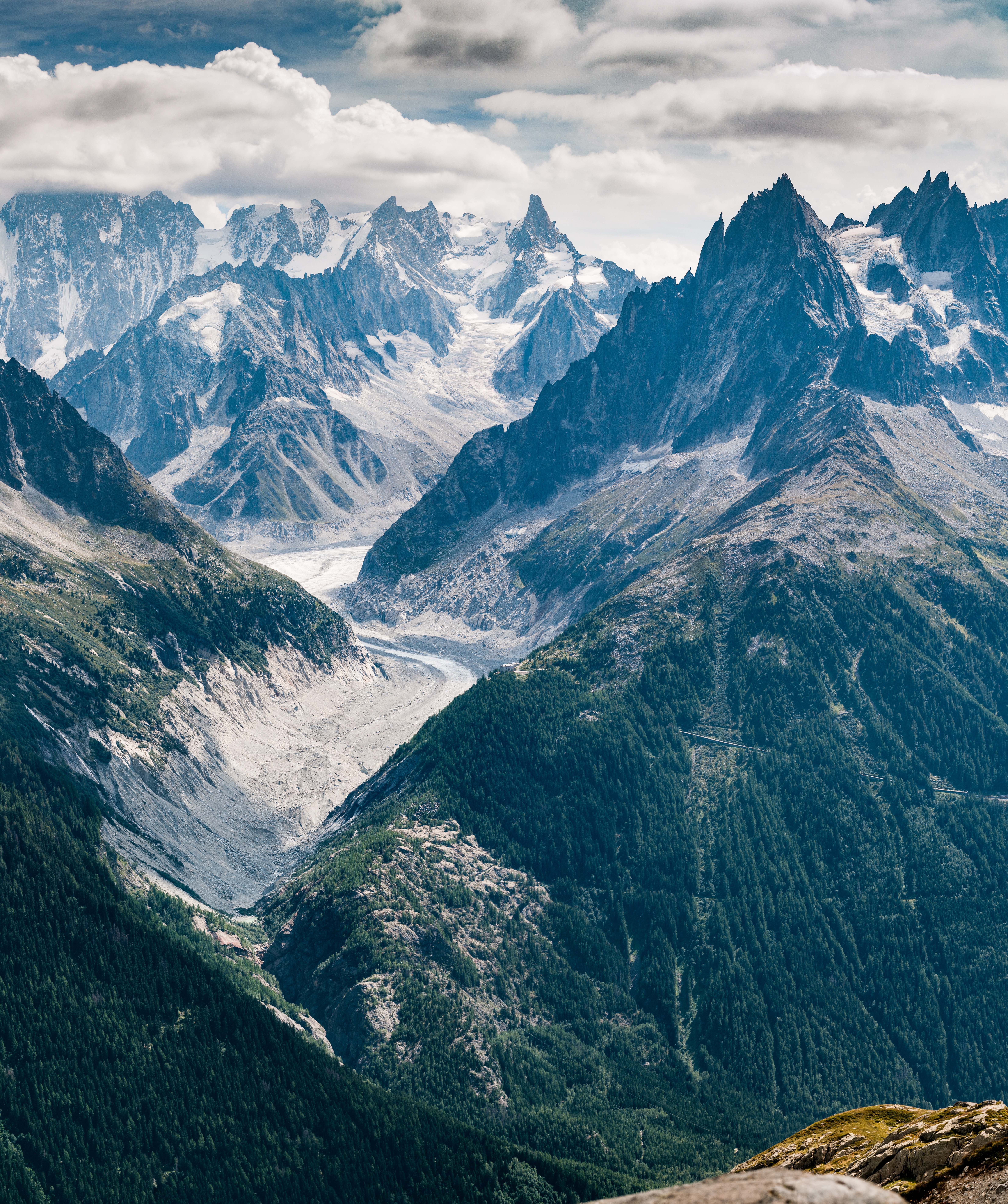 Snow-capped mountains and green forested slopes HD Wallpaper