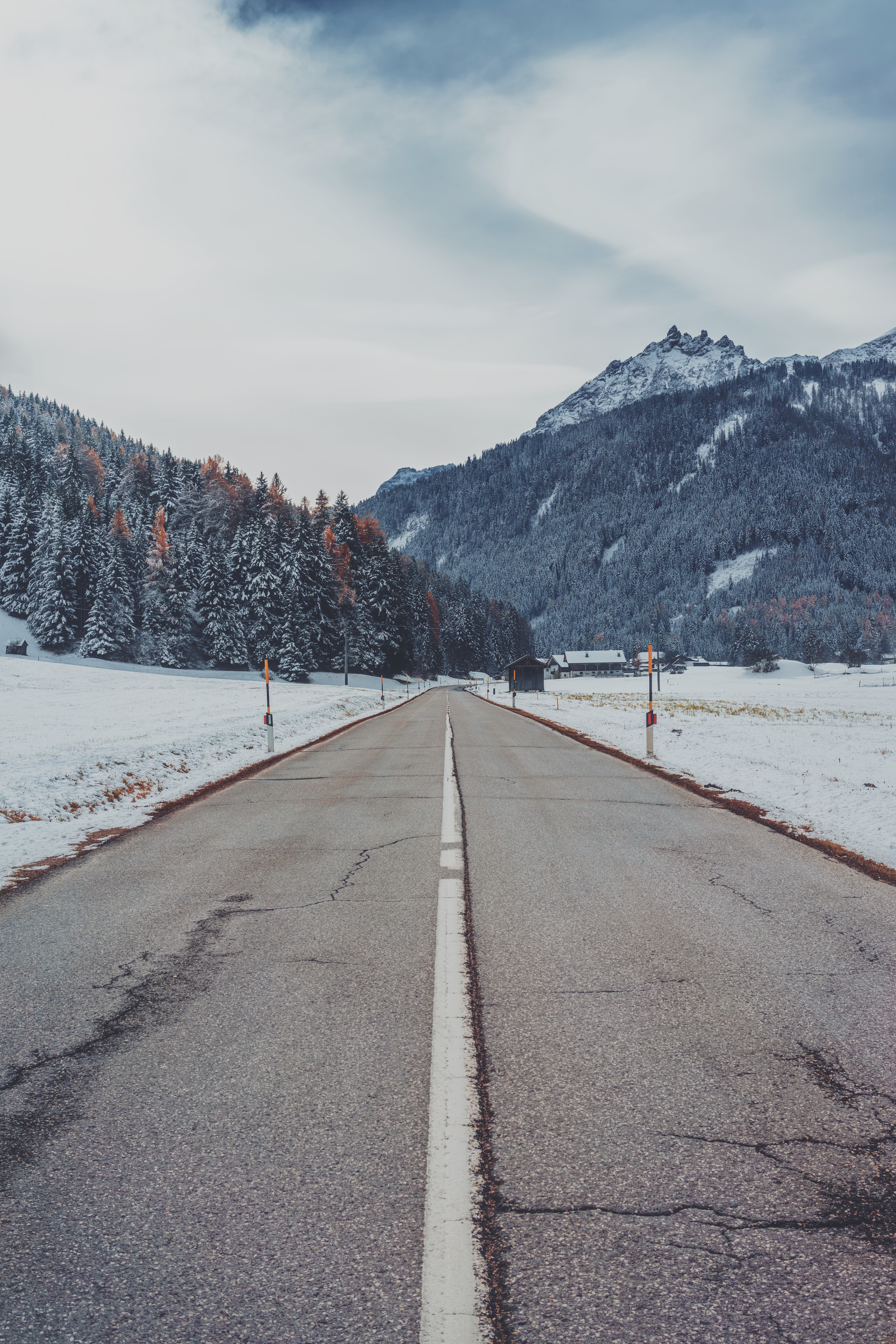 Snowy Mountain Road with Pine Trees HD Wallpaper
