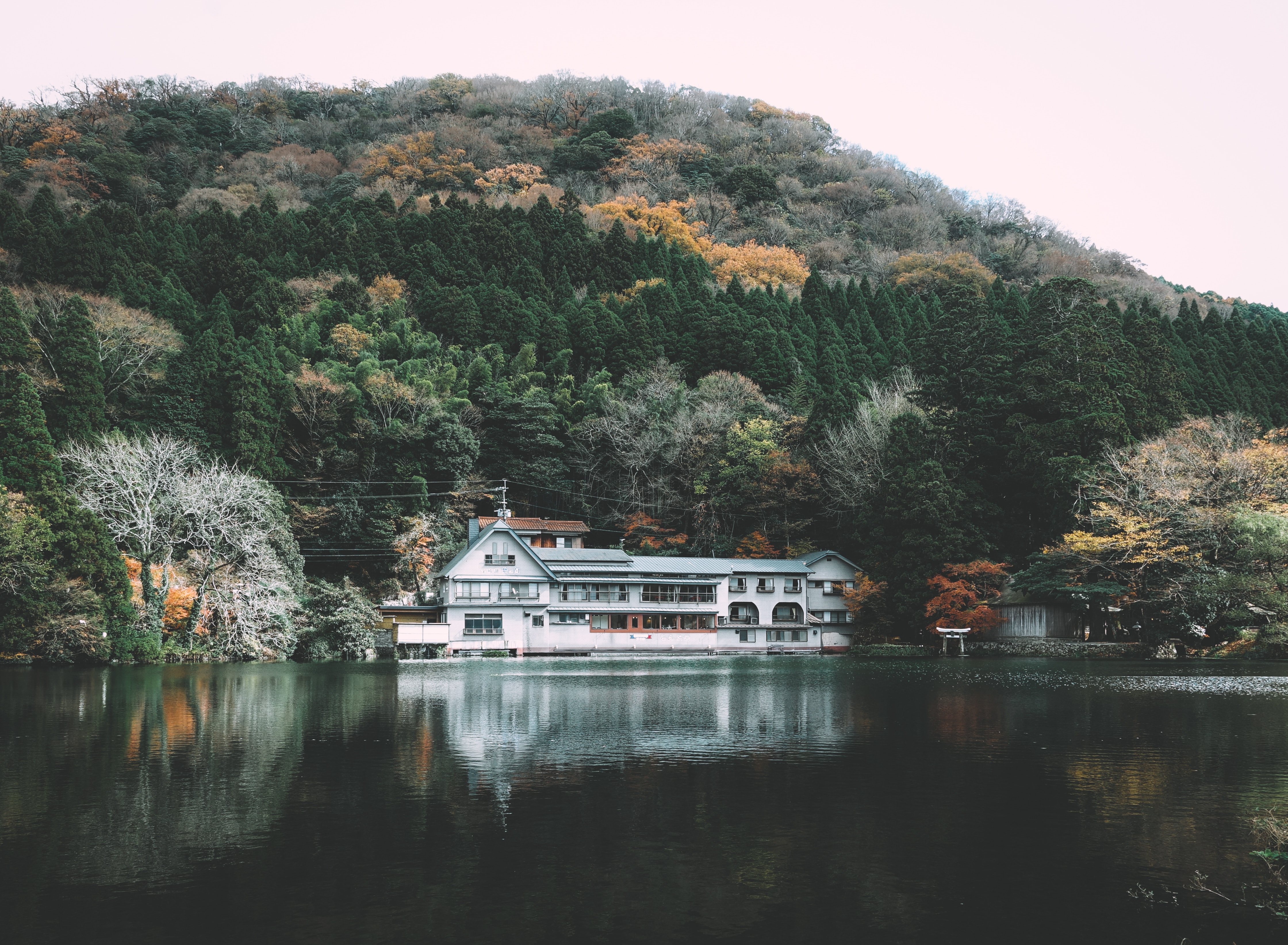 Building on a lake with a forested mountain background HD Wallpaper