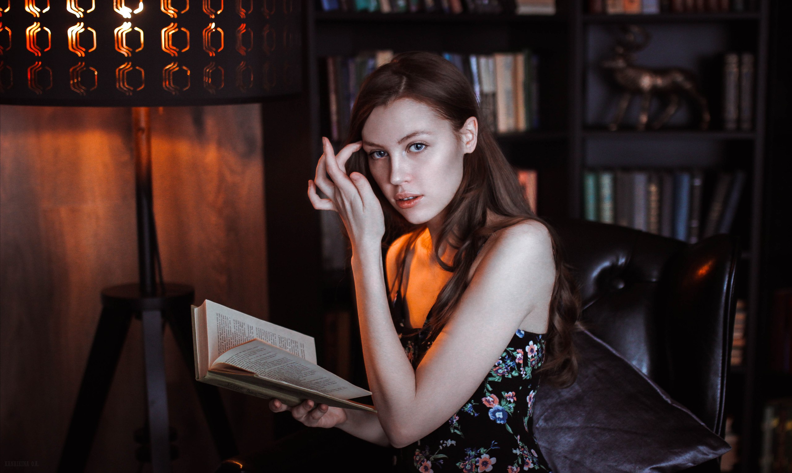 Woman reading a book in a library HD Wallpaper