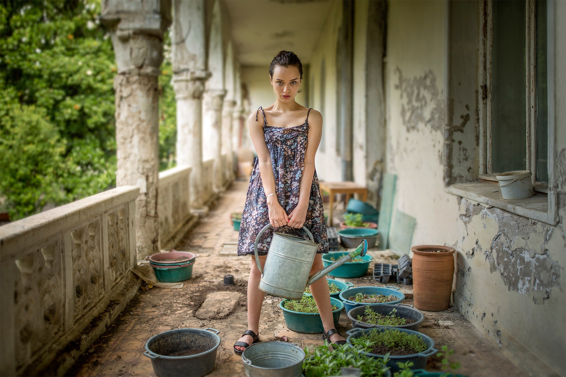 Woman holding a watering can with plants HD Wallpaper