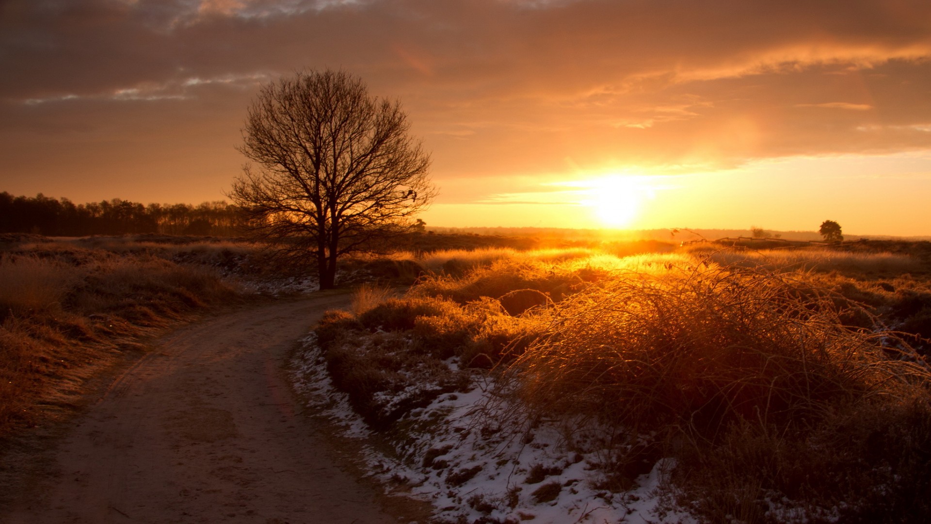 Sunset over a winter landscape with a dirt path and tree HD Wallpaper