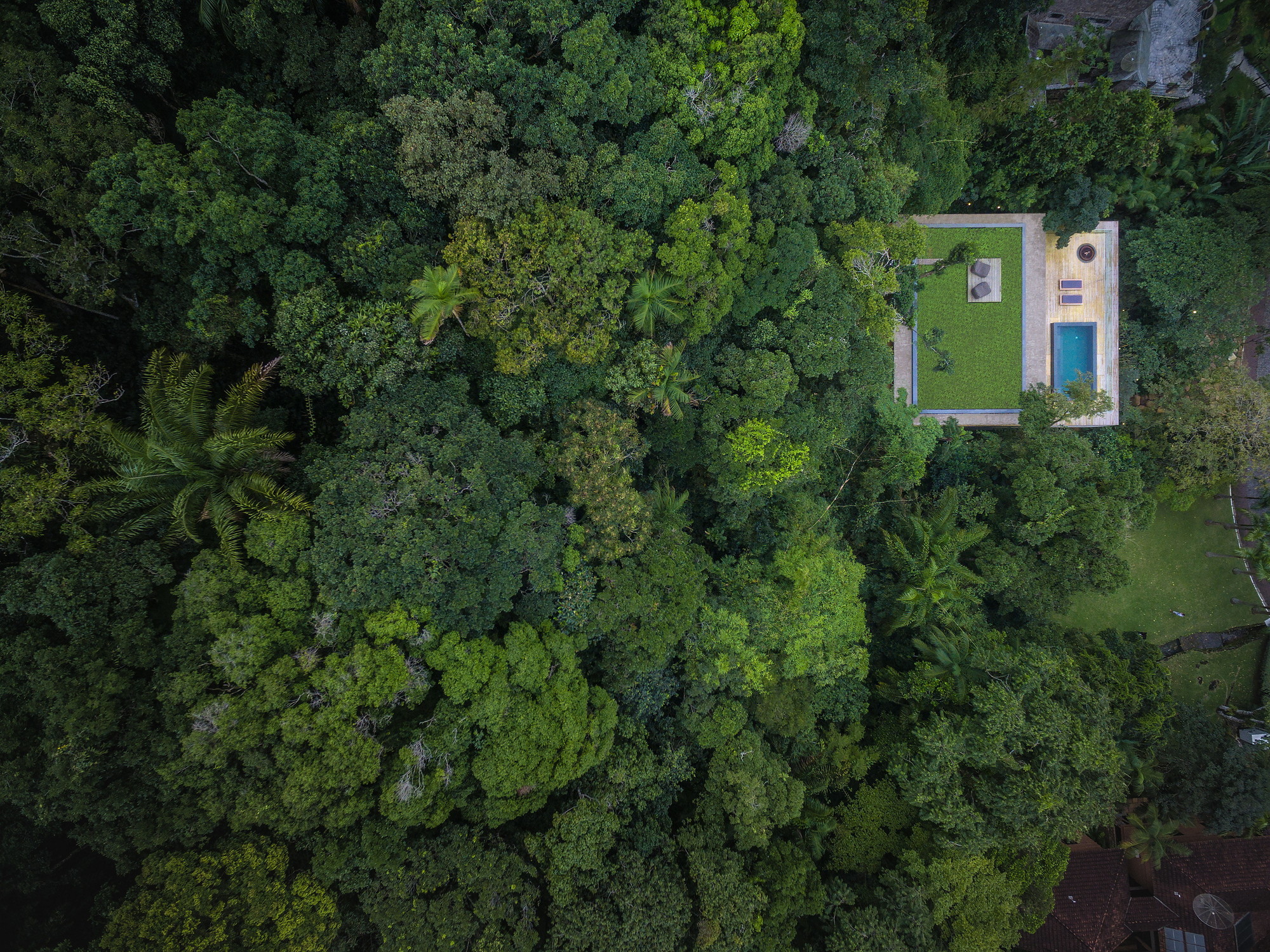 Aerial view of a modern house with a swimming pool in a dense forest HD Wallpaper