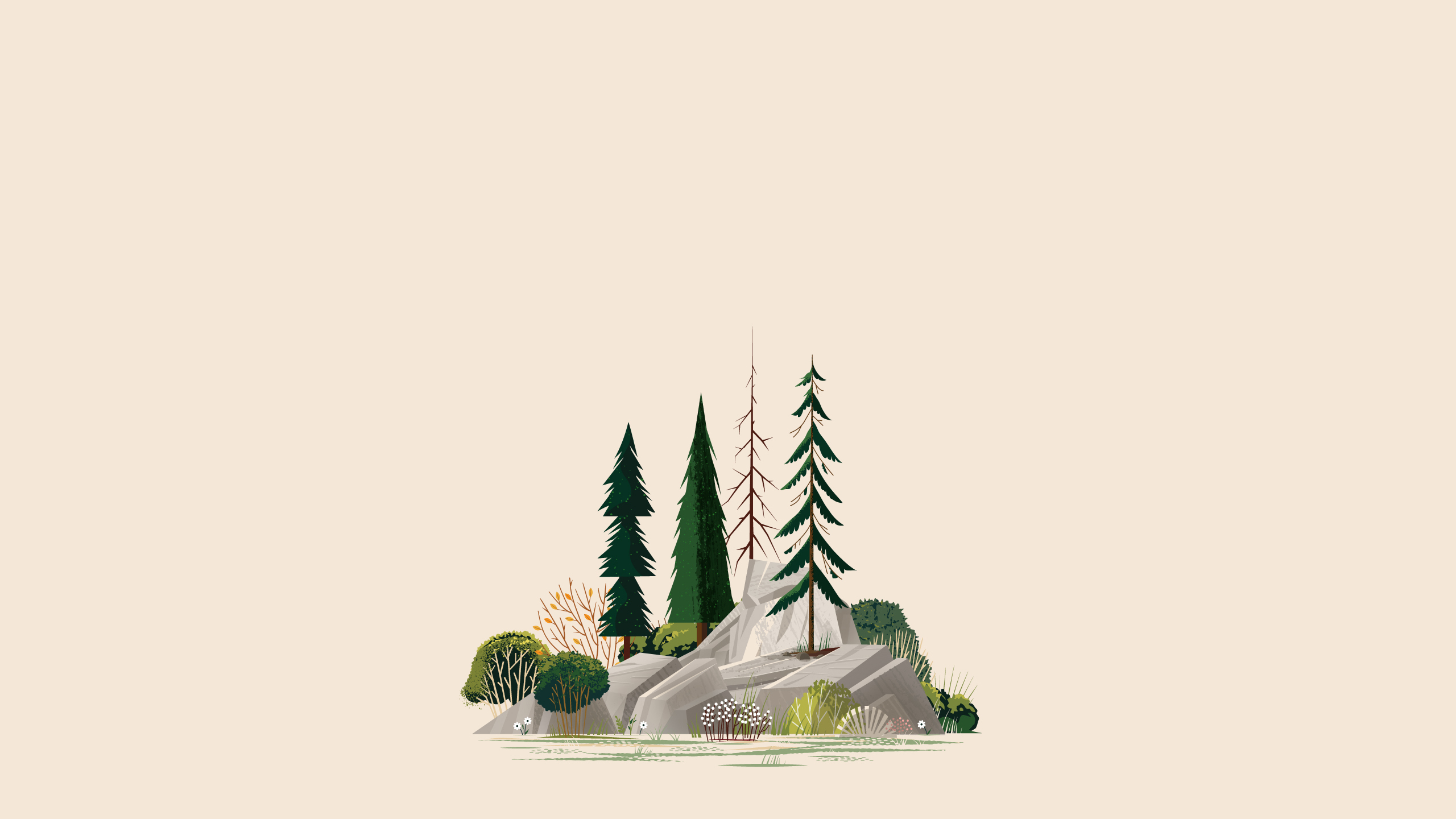 Illustration of trees and rocks in a forest HD Wallpaper