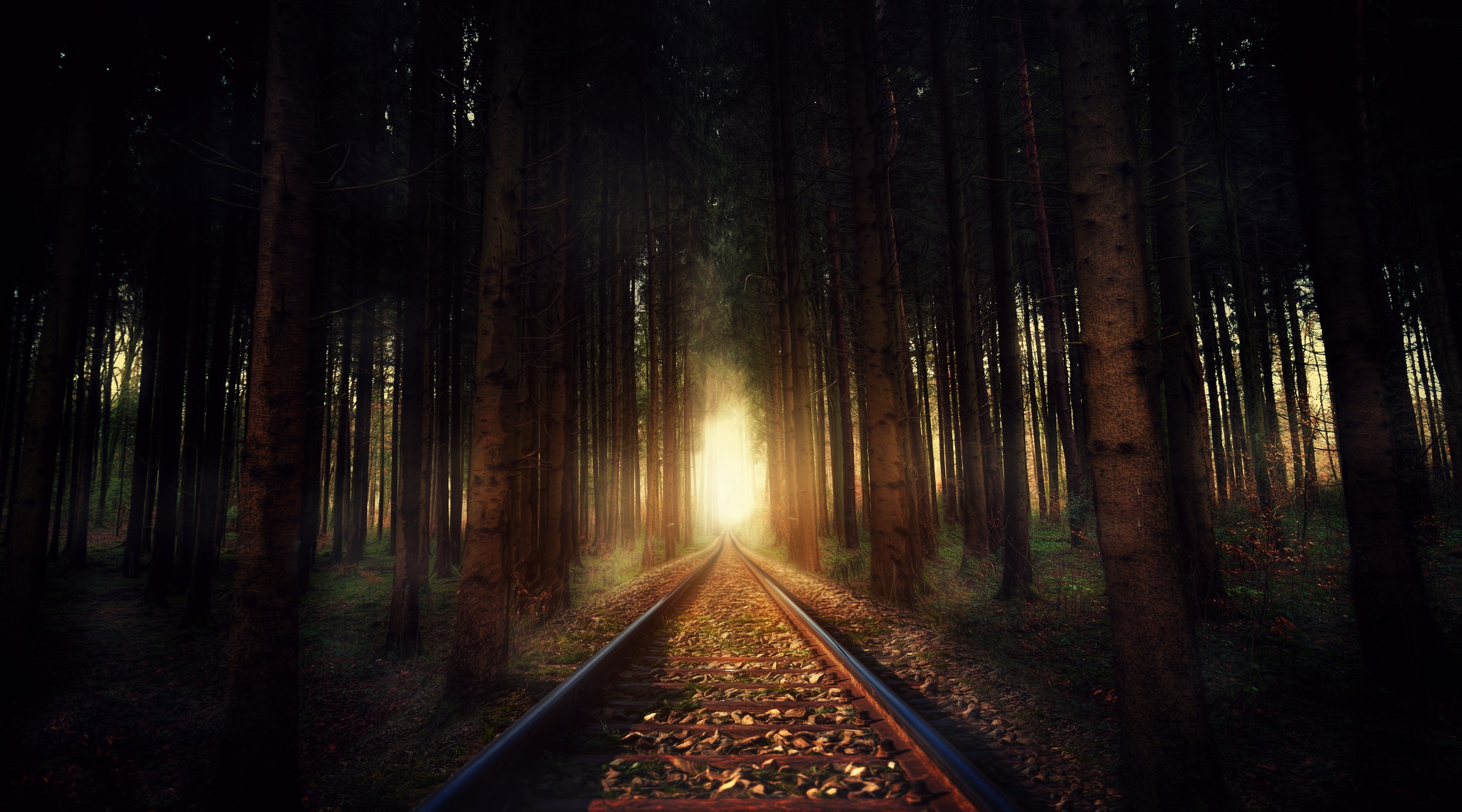 Railway tracks through a dark forest with sunlight HD Wallpaper