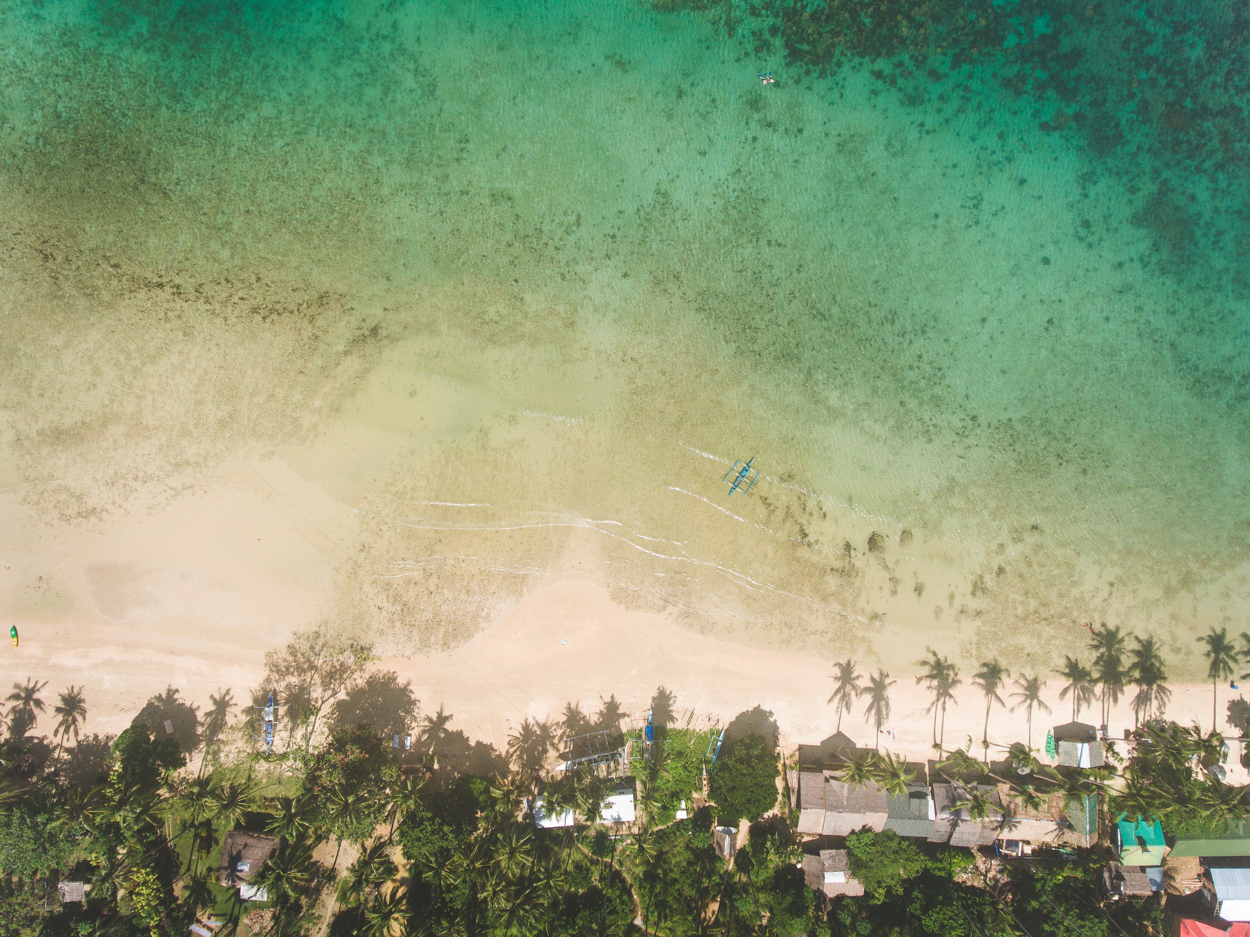 Aerial view of a tropical beach with palm trees and houses HD Wallpaper