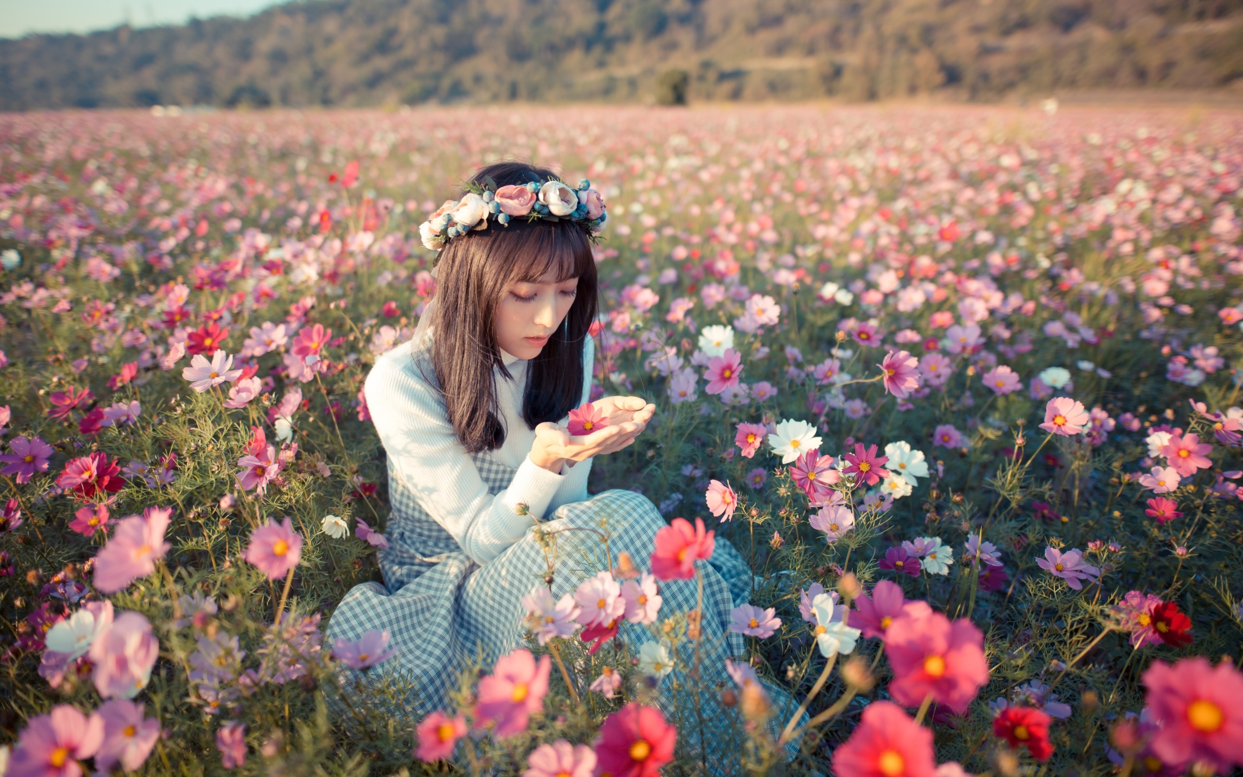 Woman with flower crown in a field of cosmos flowers HD Wallpaper